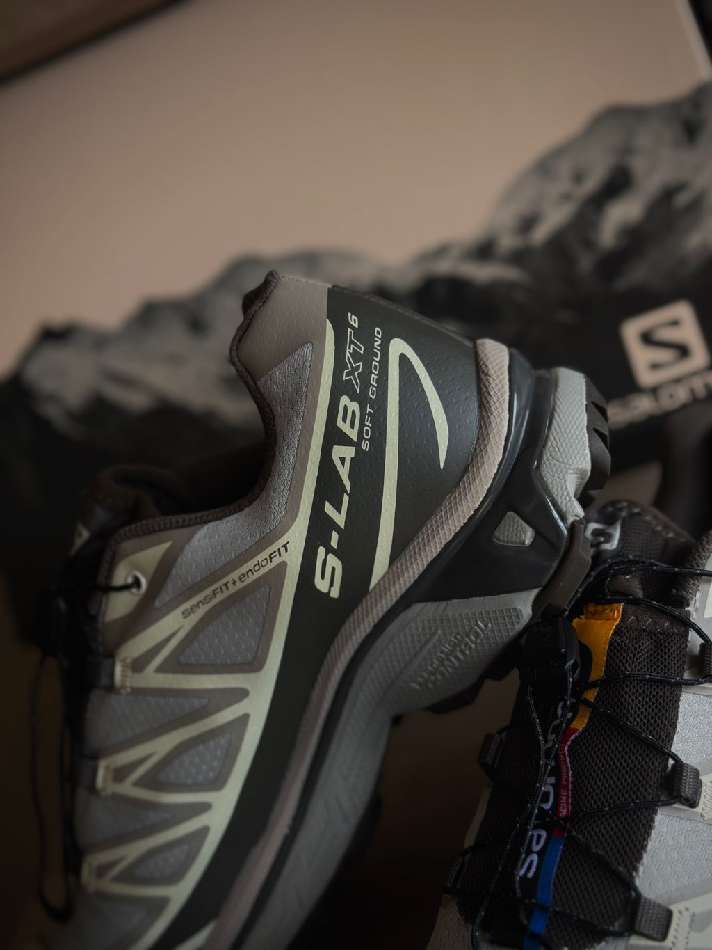 Salomon XT-6