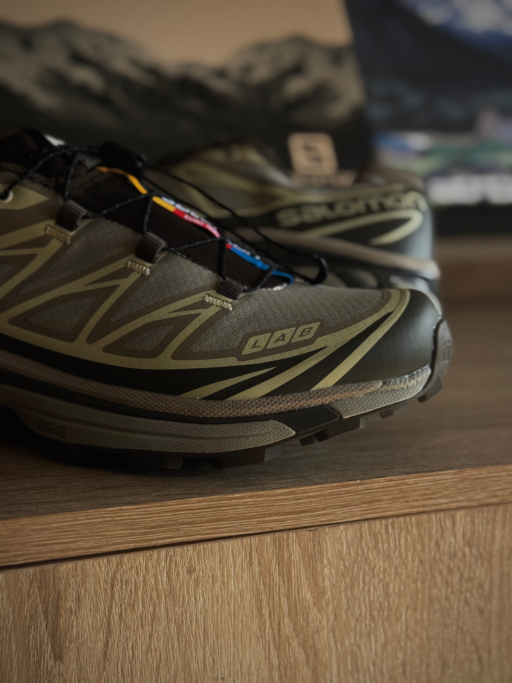 Salomon XT-6
