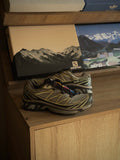Salomon XT-6