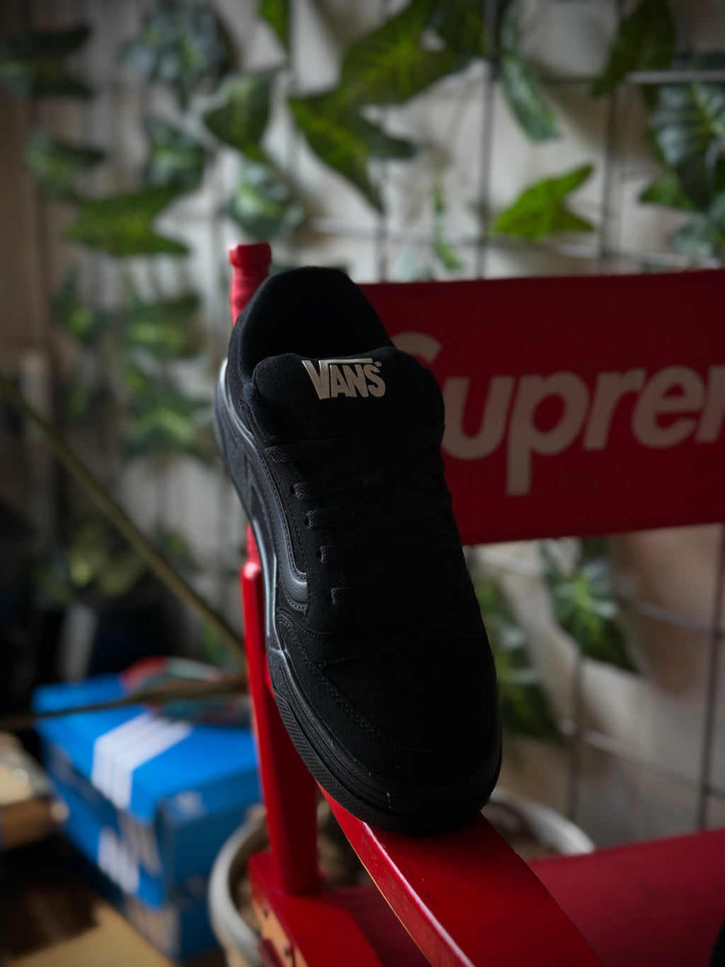 Vans Hylane Triple Black