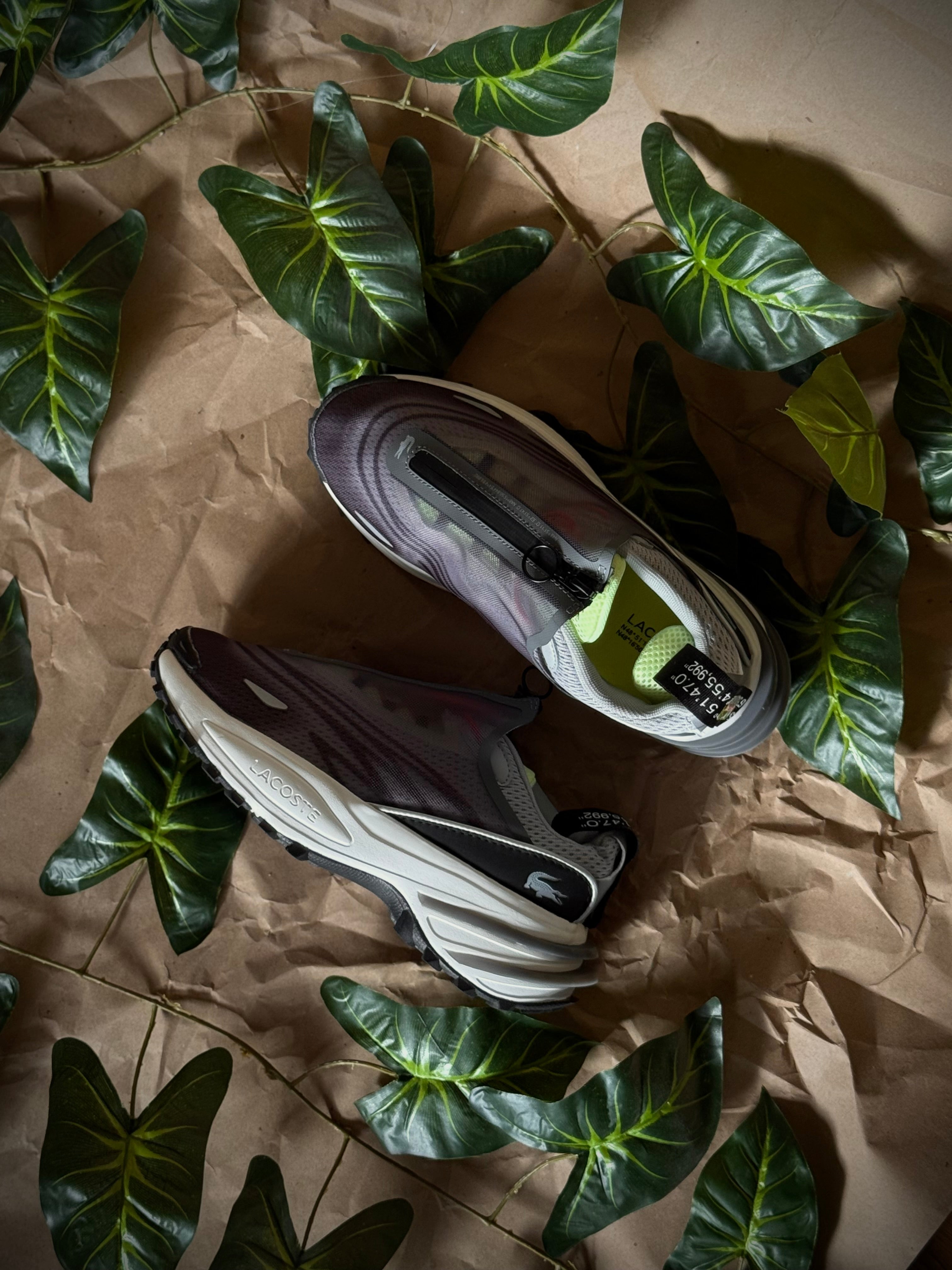 Lacoste Audyssor Trail
