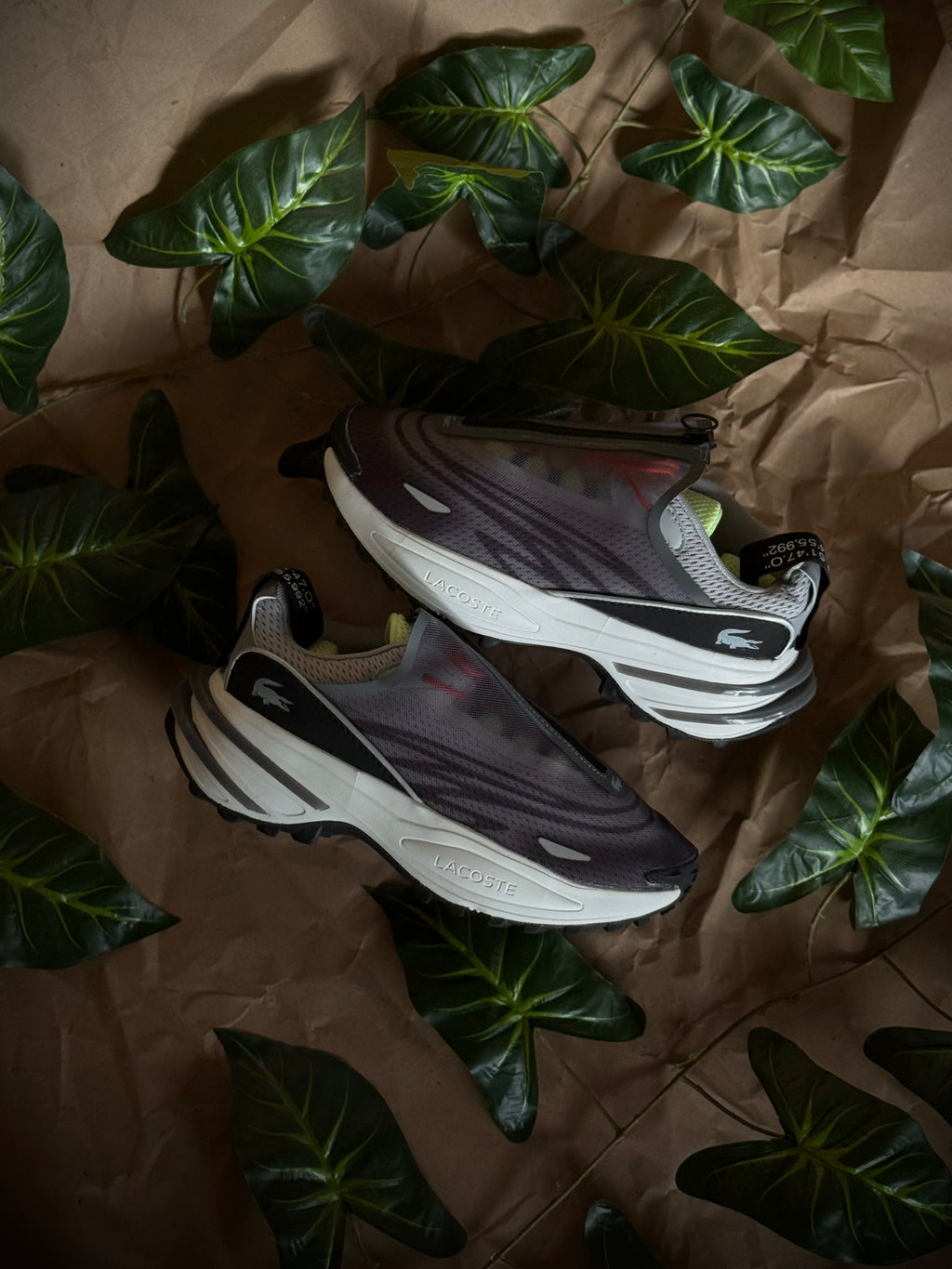 Lacoste Audyssor Trail