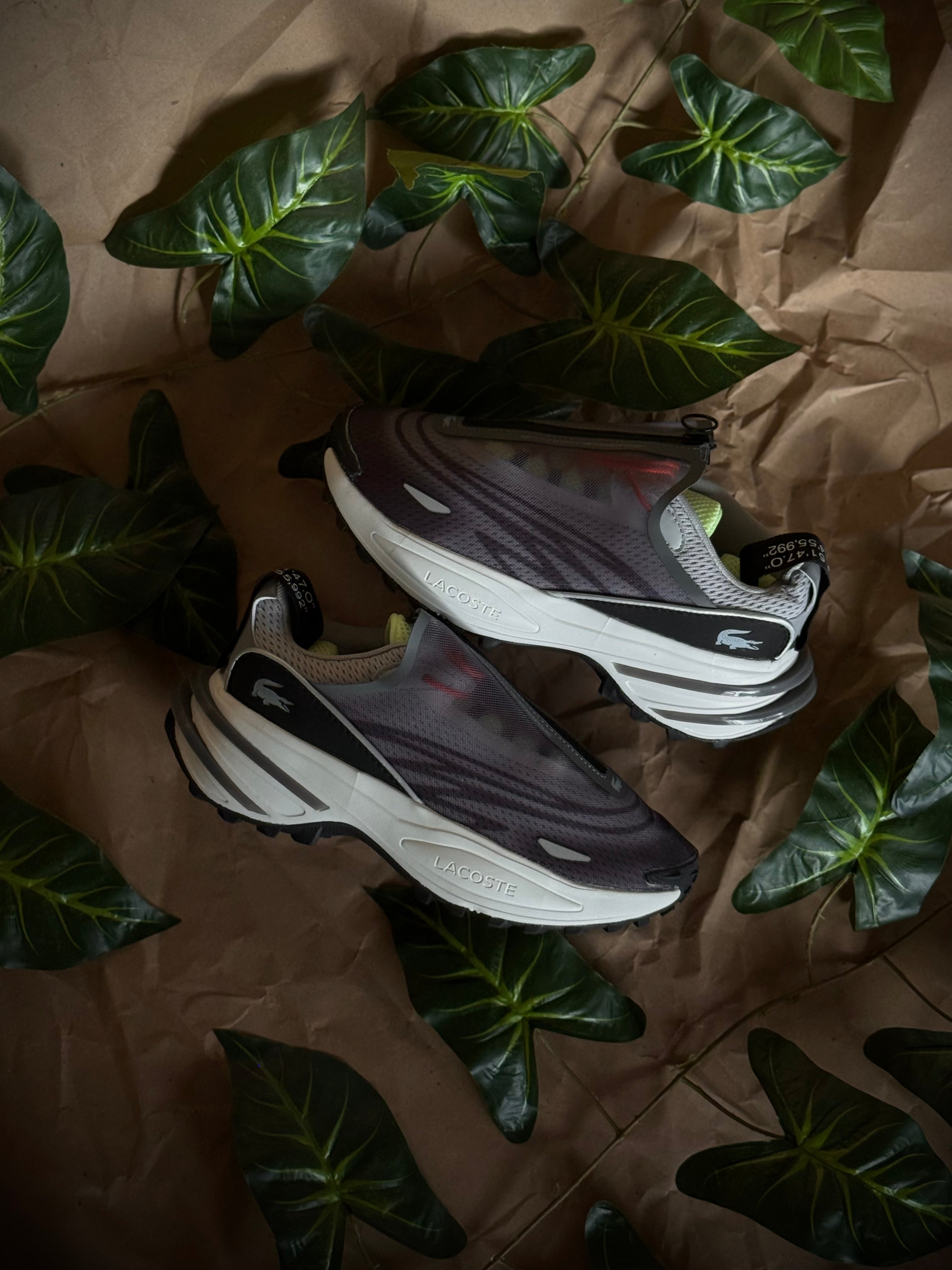 Lacoste Audyssor Trail