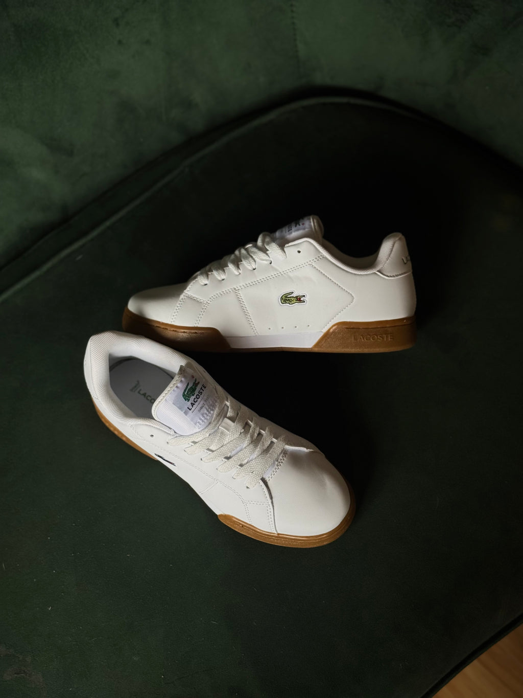 Lacoste Carnaby Cup