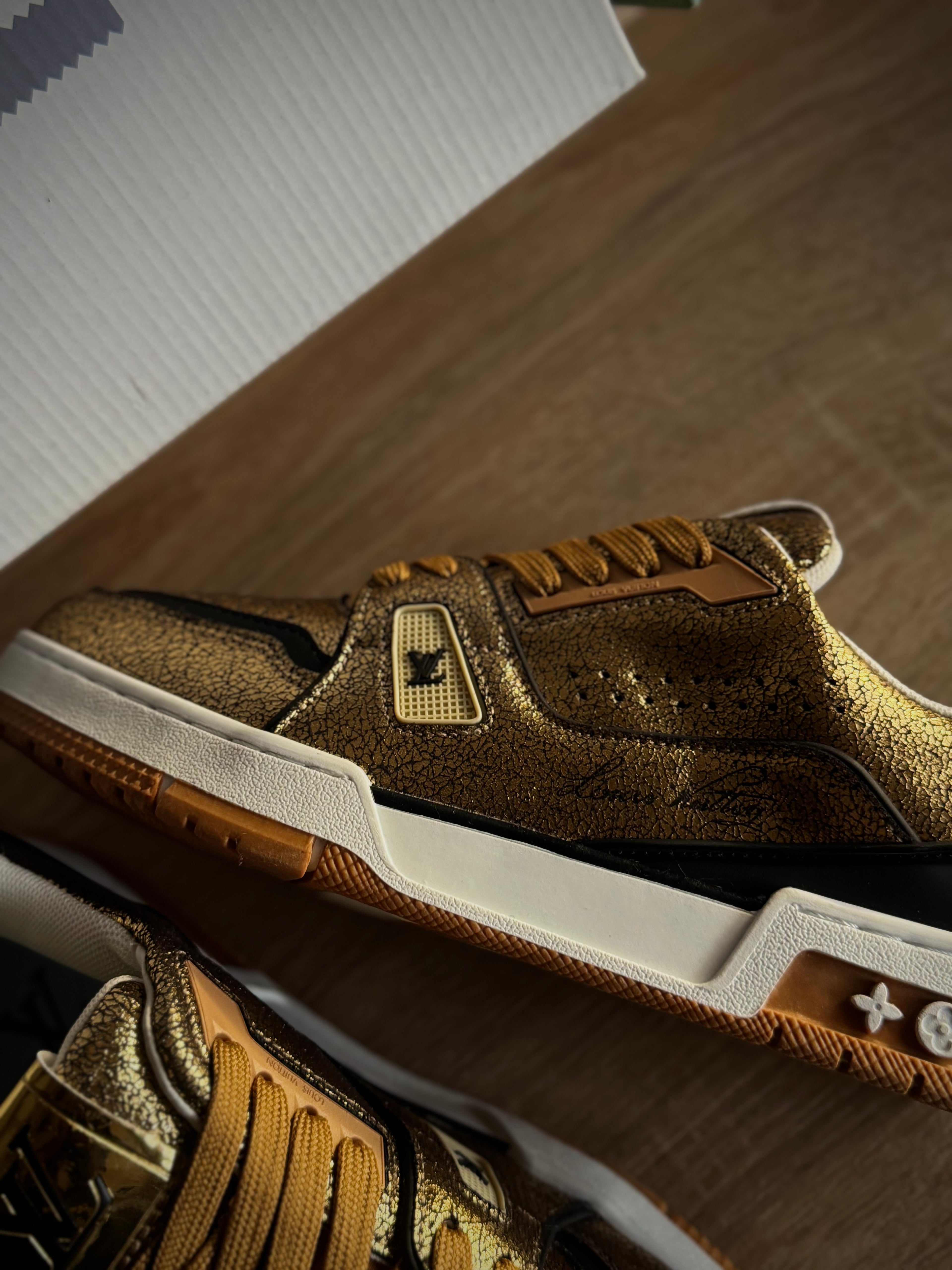 Louis Vuitton Trainer