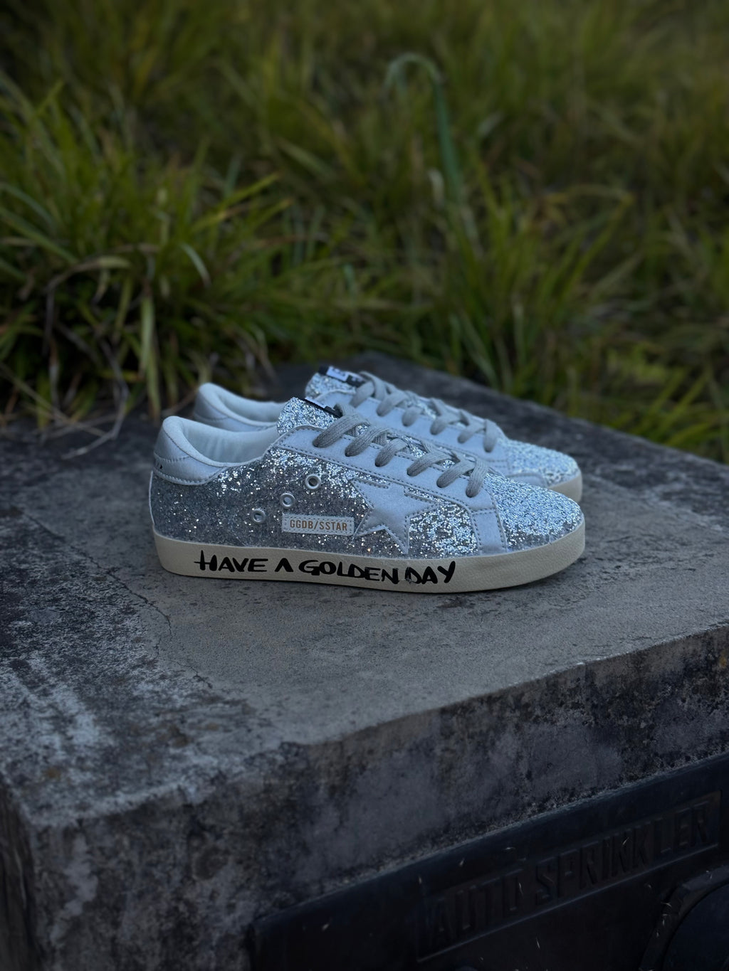 Golden Goose Have A Golden Day