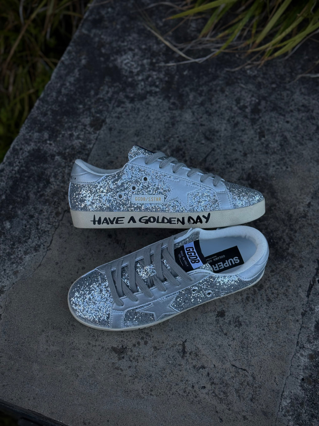 Golden Goose Have A Golden Day