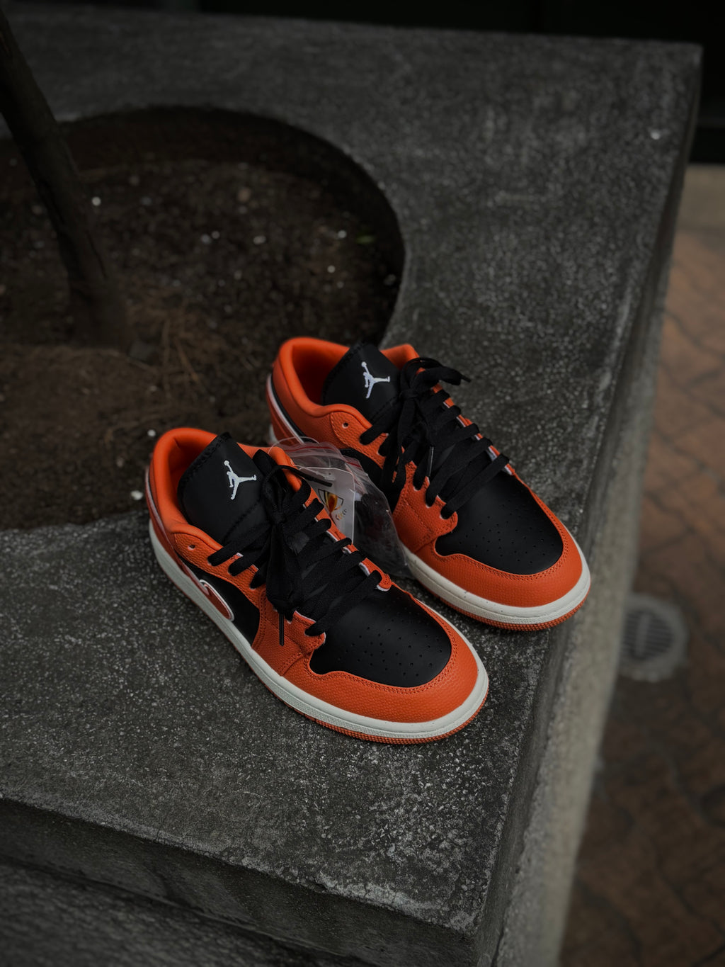 Jordan 1 Low Sport Spice