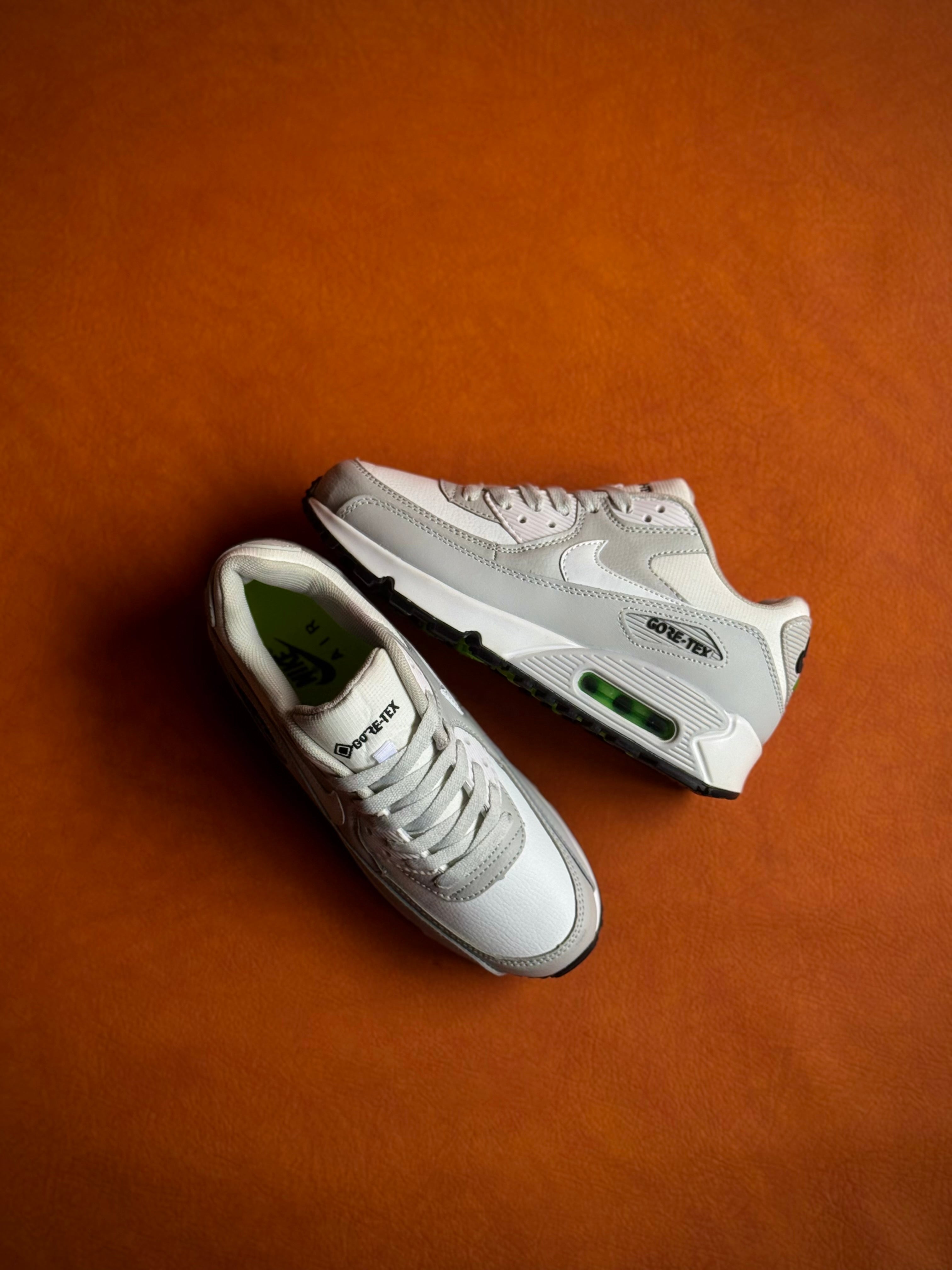 Nike Air Max 90 GORE-TEX