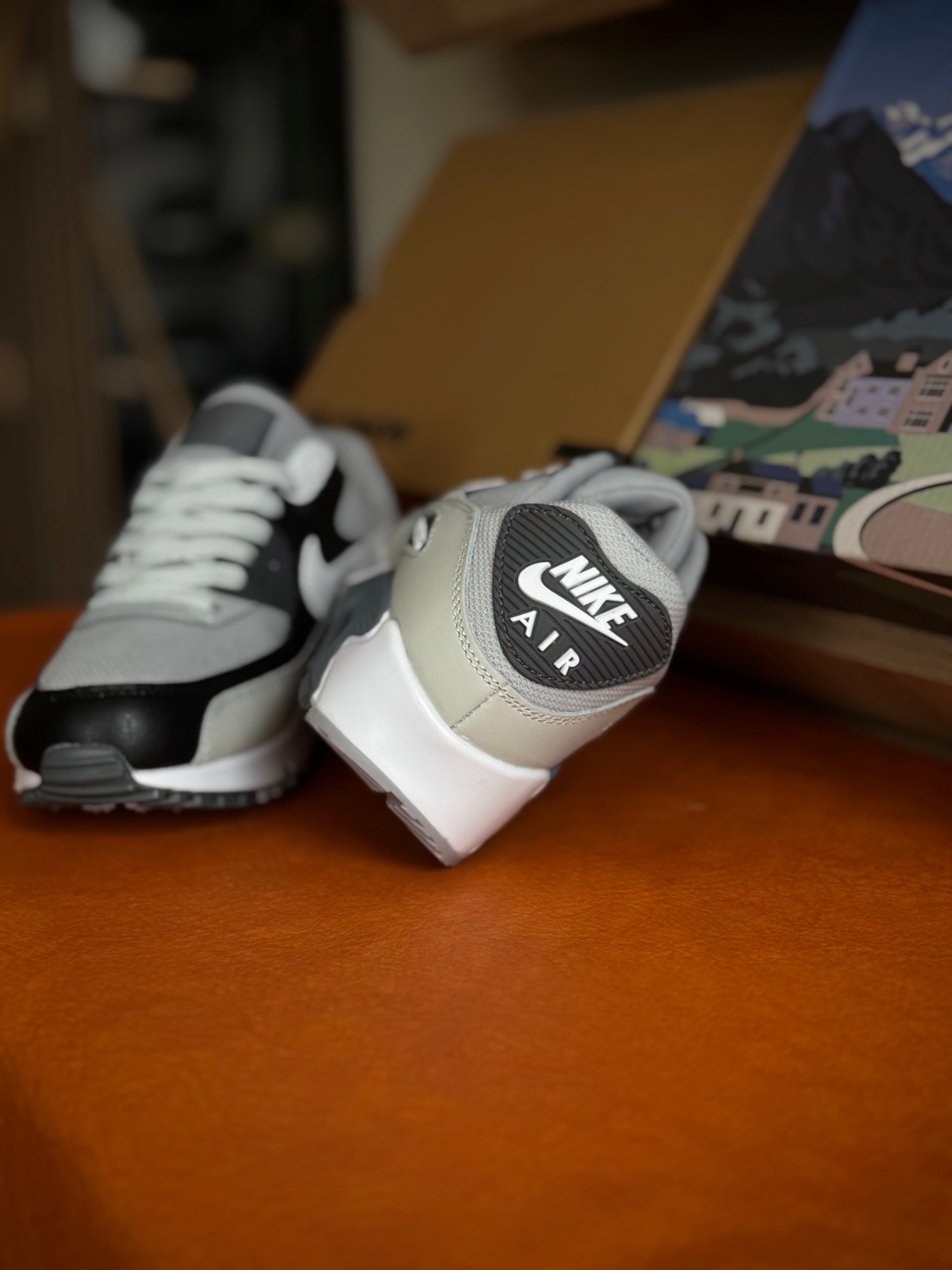 Nike Air Max 90 White Grey