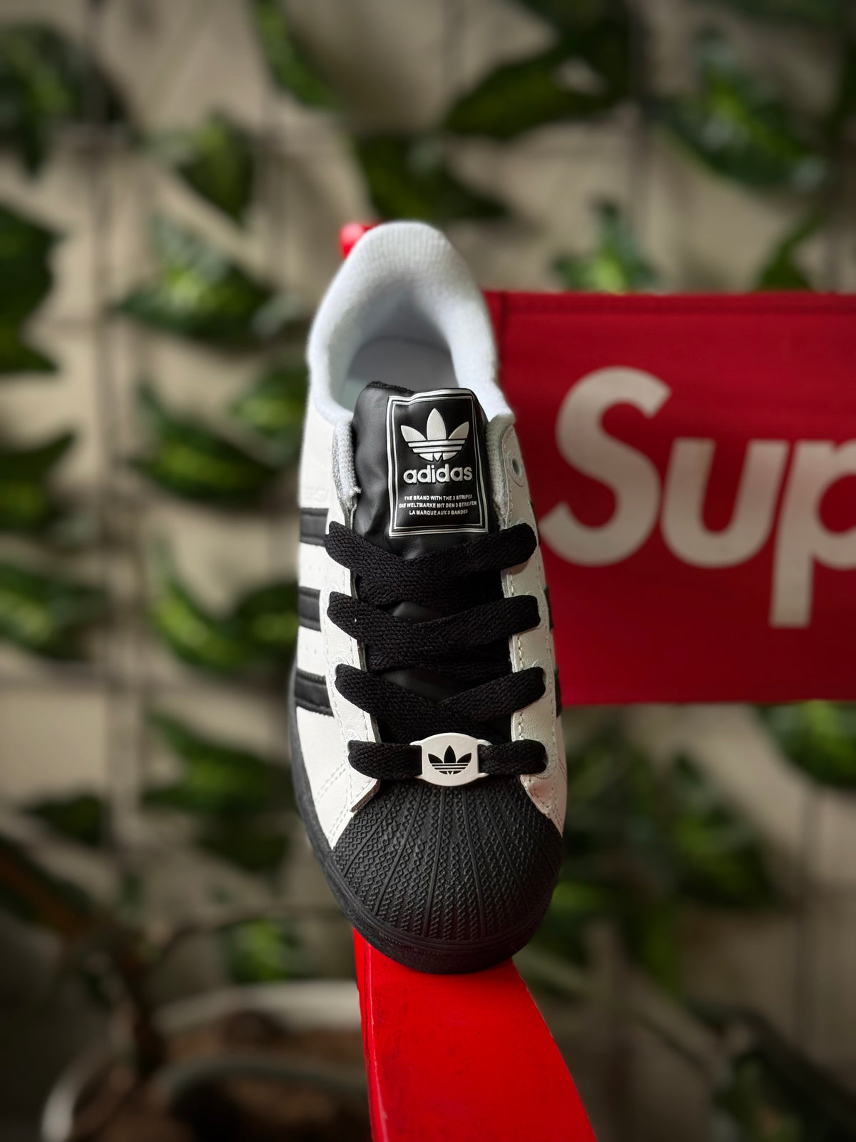 Adidas Superstar White Black