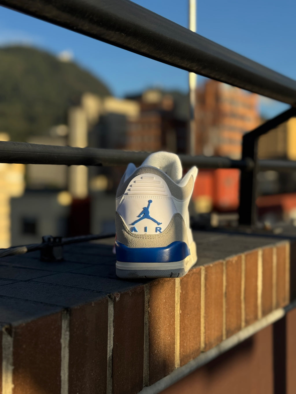 Jordan 3 Retro Lucky Shorts