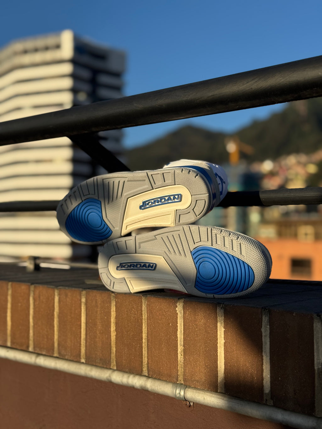 Jordan 3 Retro Lucky Shorts