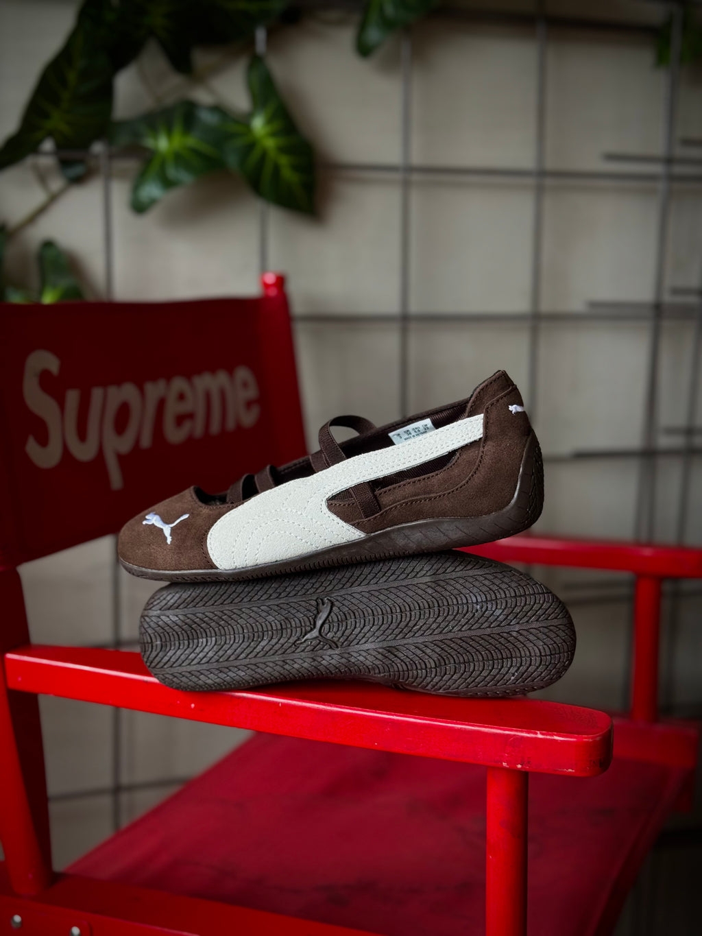 Puma Speedcat Ballet Brown