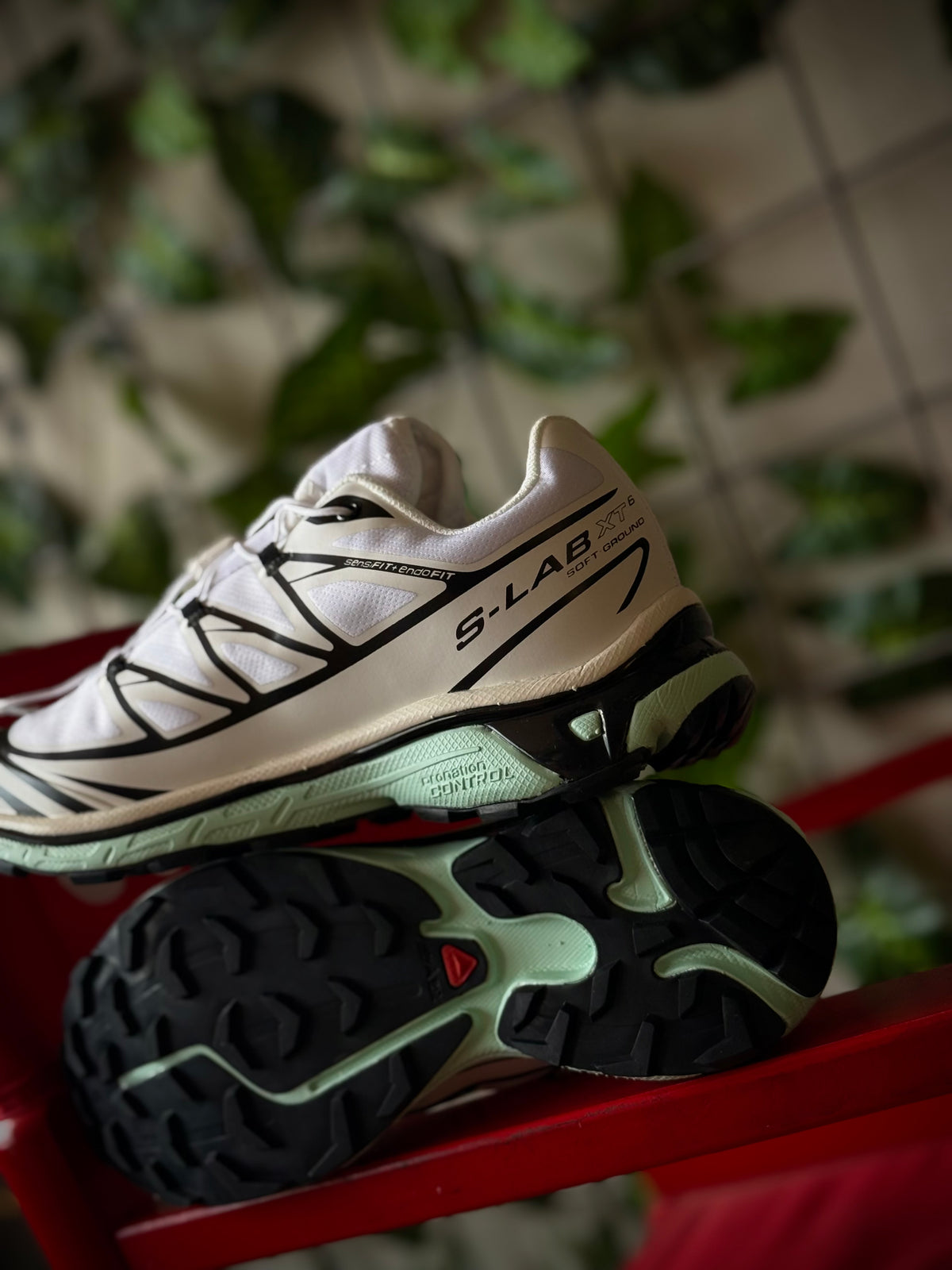 Salomon XT-6 Icy Morn