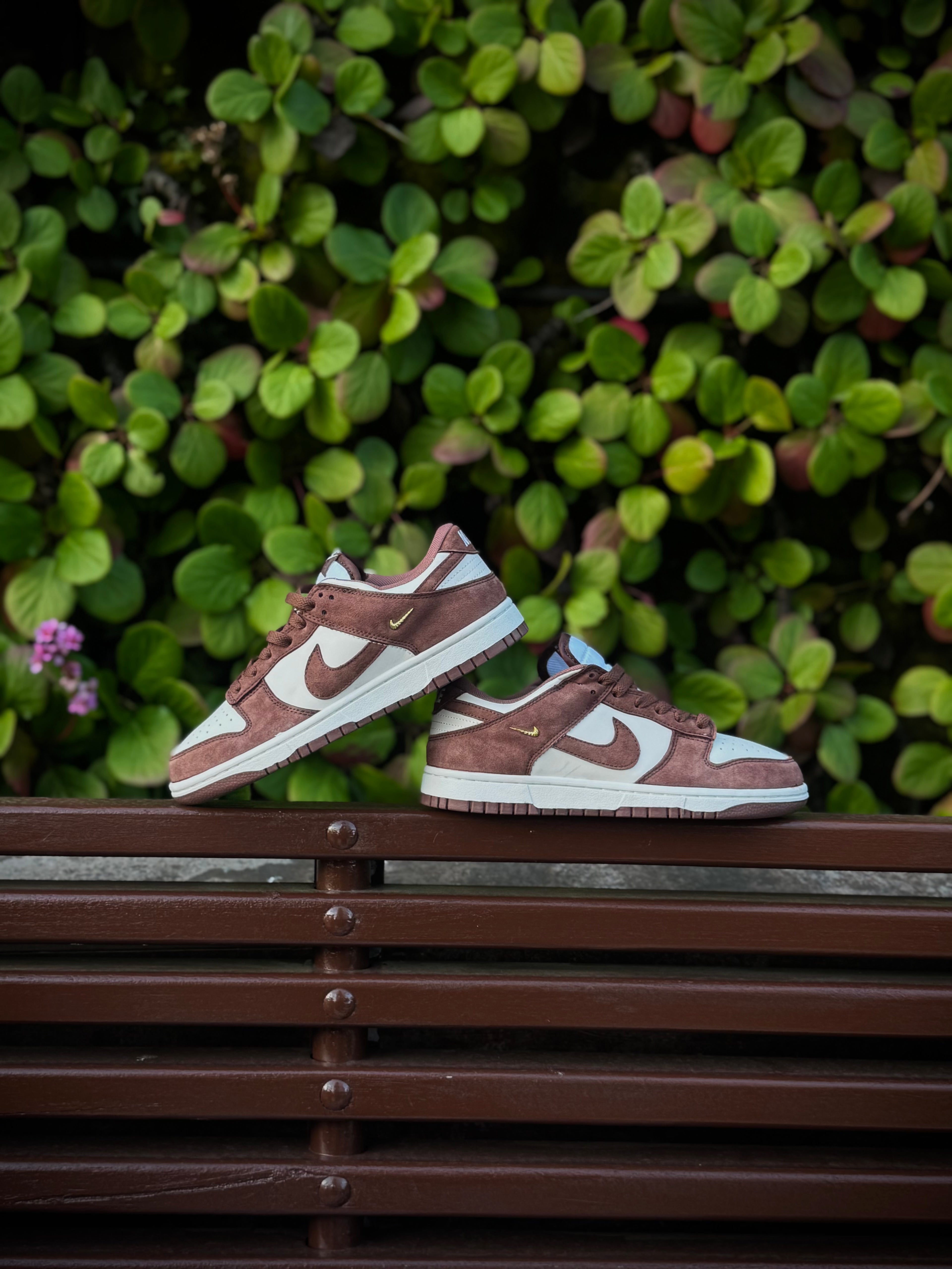 Nike Dunk Brown Metallic Swoosh
