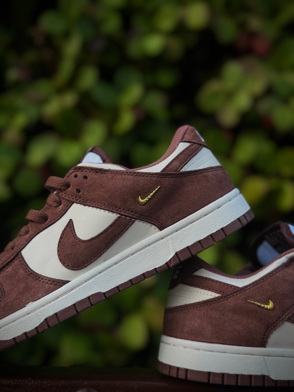 Nike Dunk Brown Metallic Swoosh