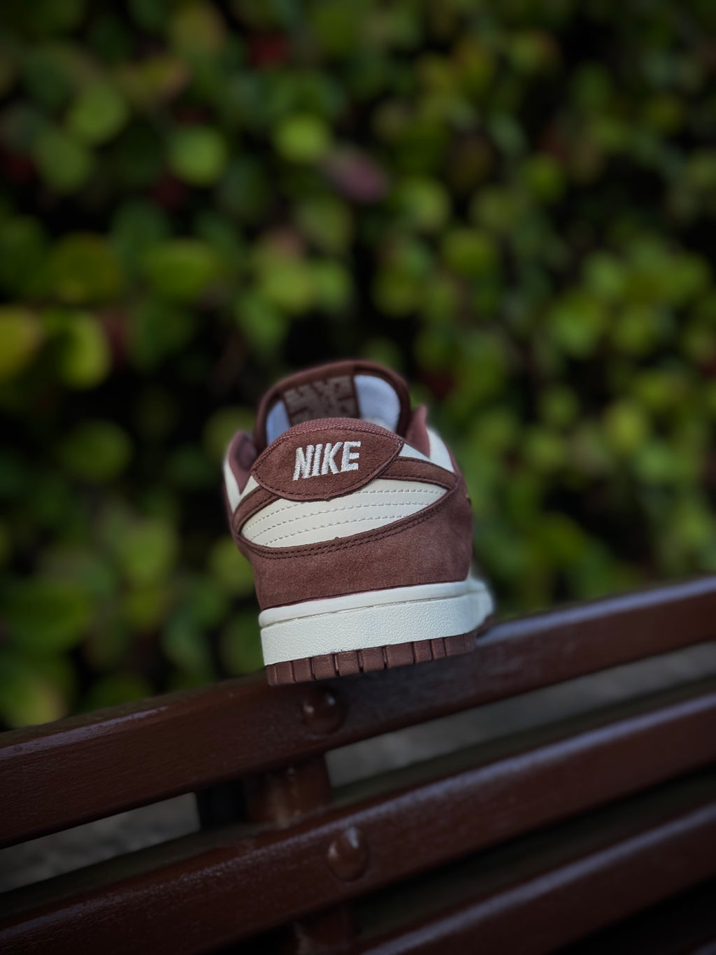 Nike Dunk Brown Metallic Swoosh