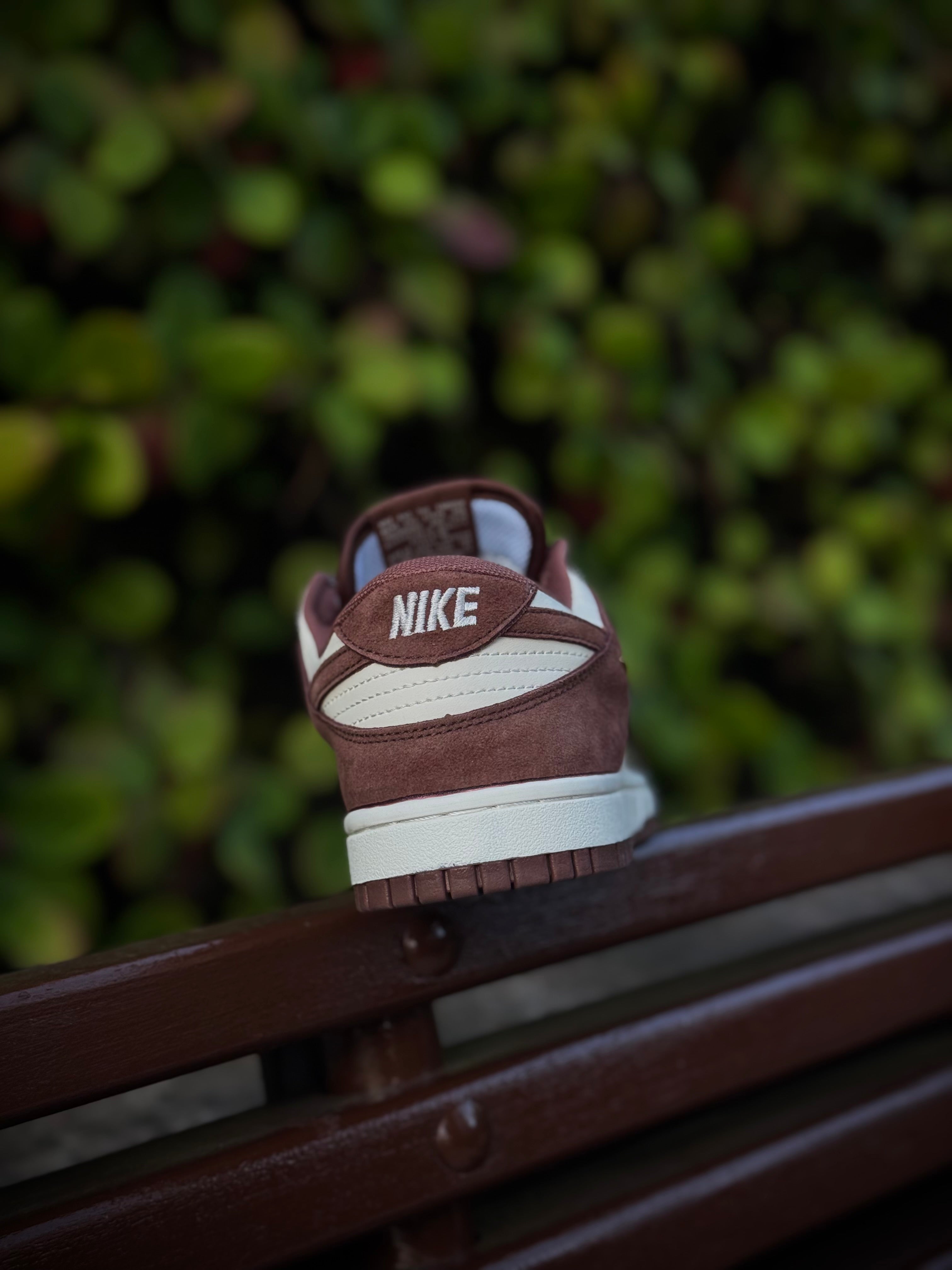 Nike Dunk Brown Metallic Swoosh