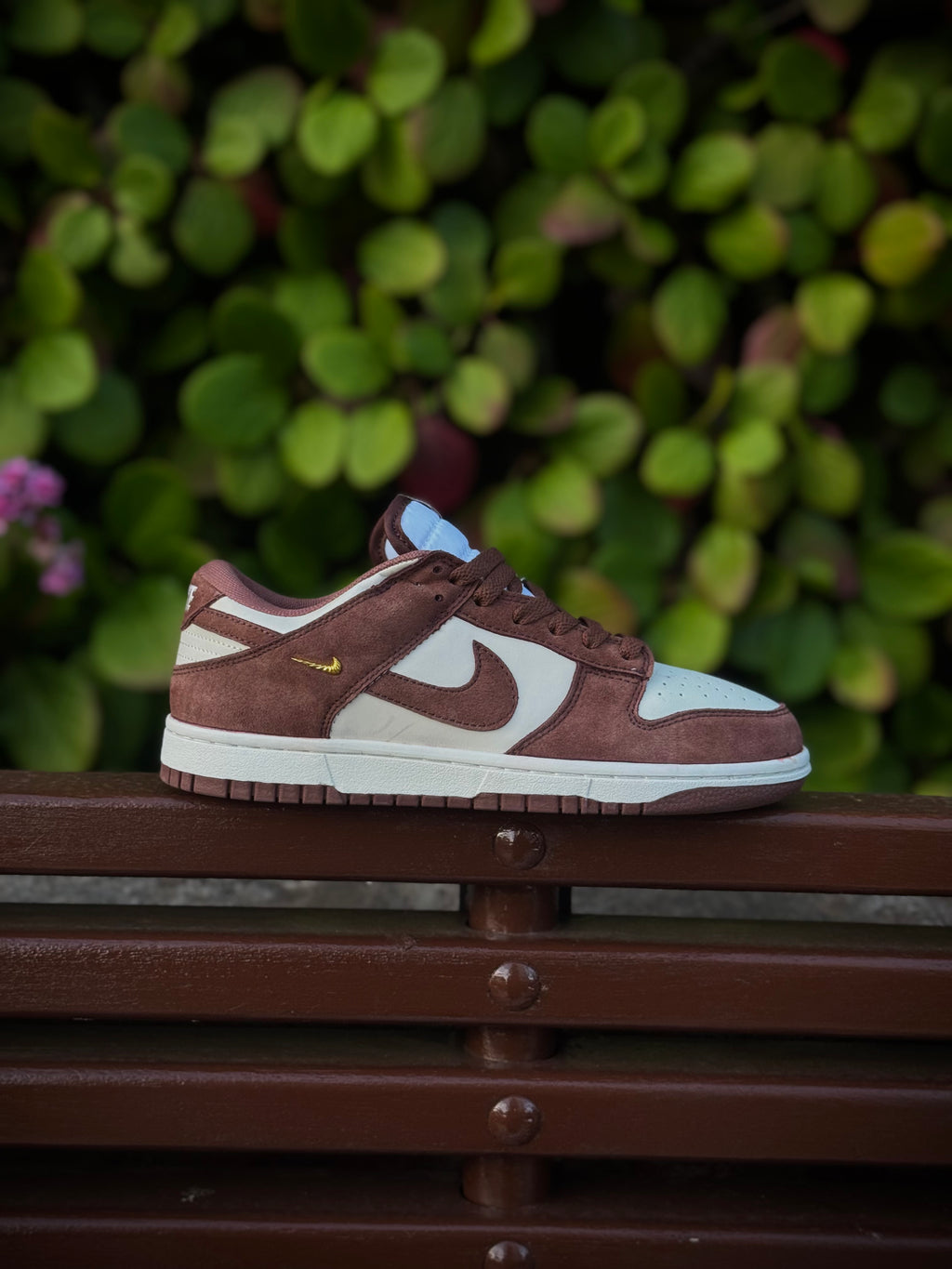Nike Dunk Brown Metallic Swoosh