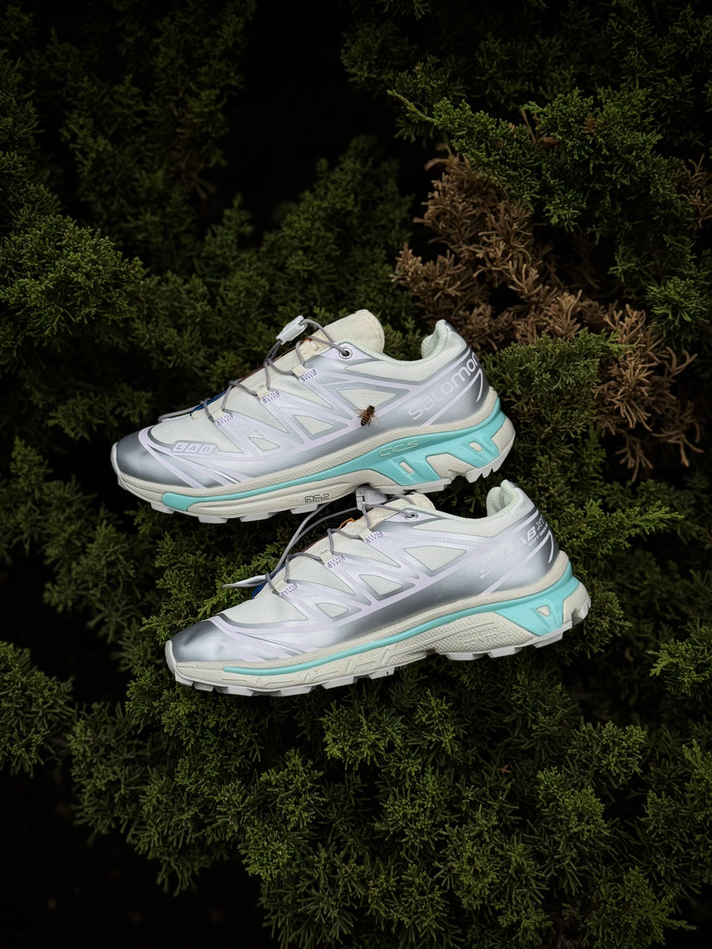 Salomon XT-6 Cuna Rosa