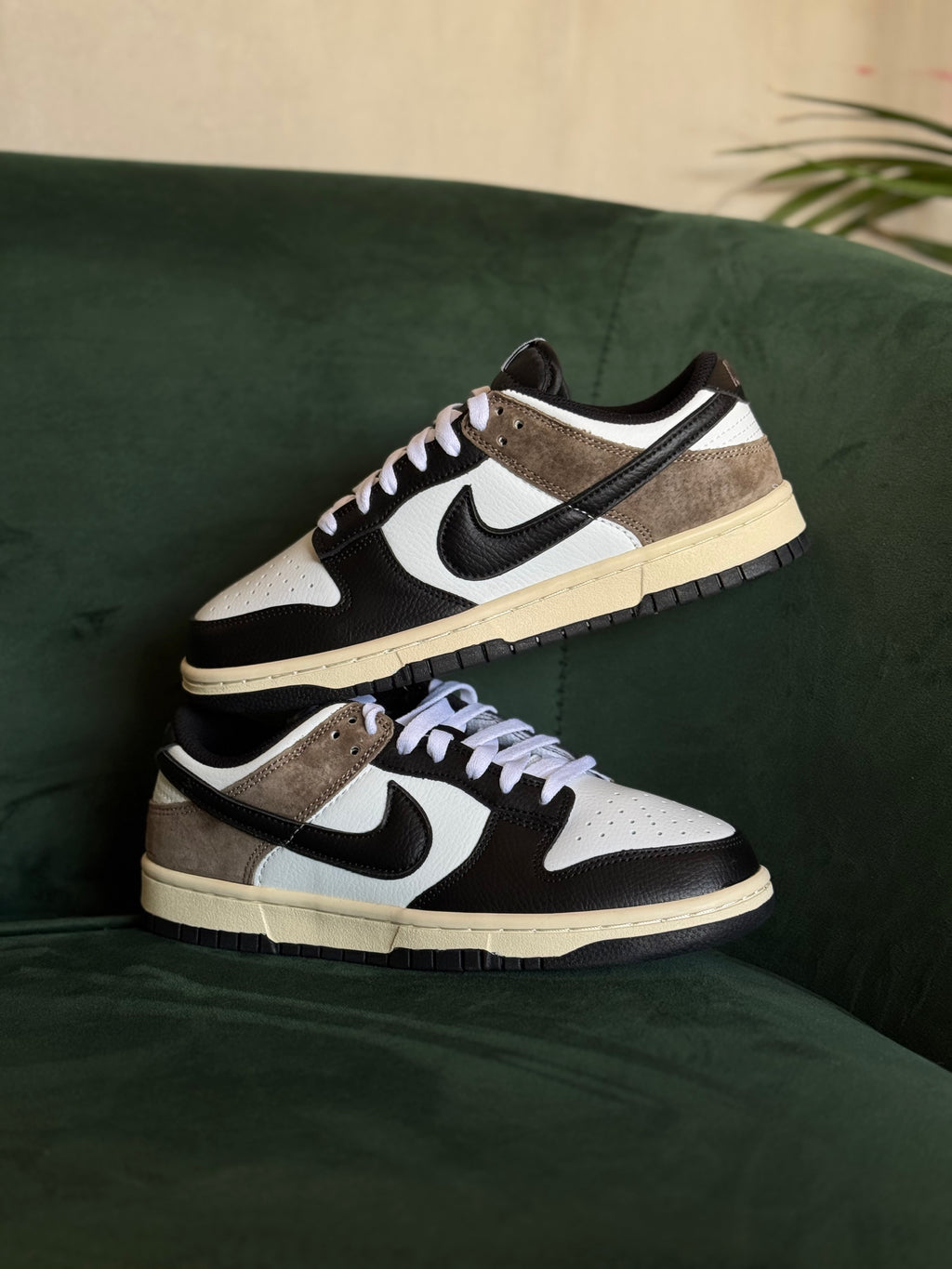 Nike Dunk Dark Mocha