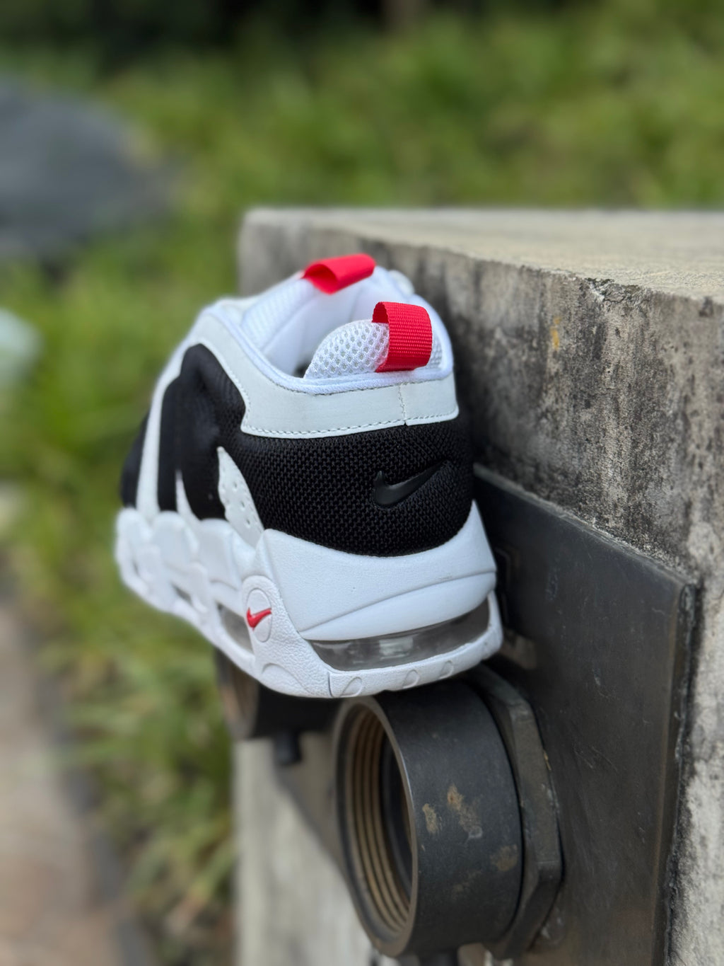 Nike More Uptempo Low