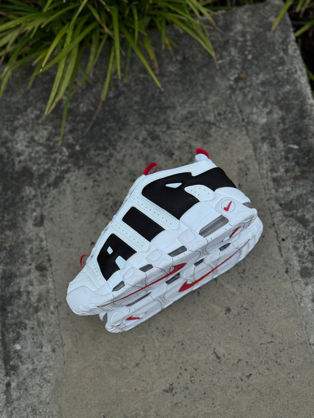 Nike More Uptempo Low
