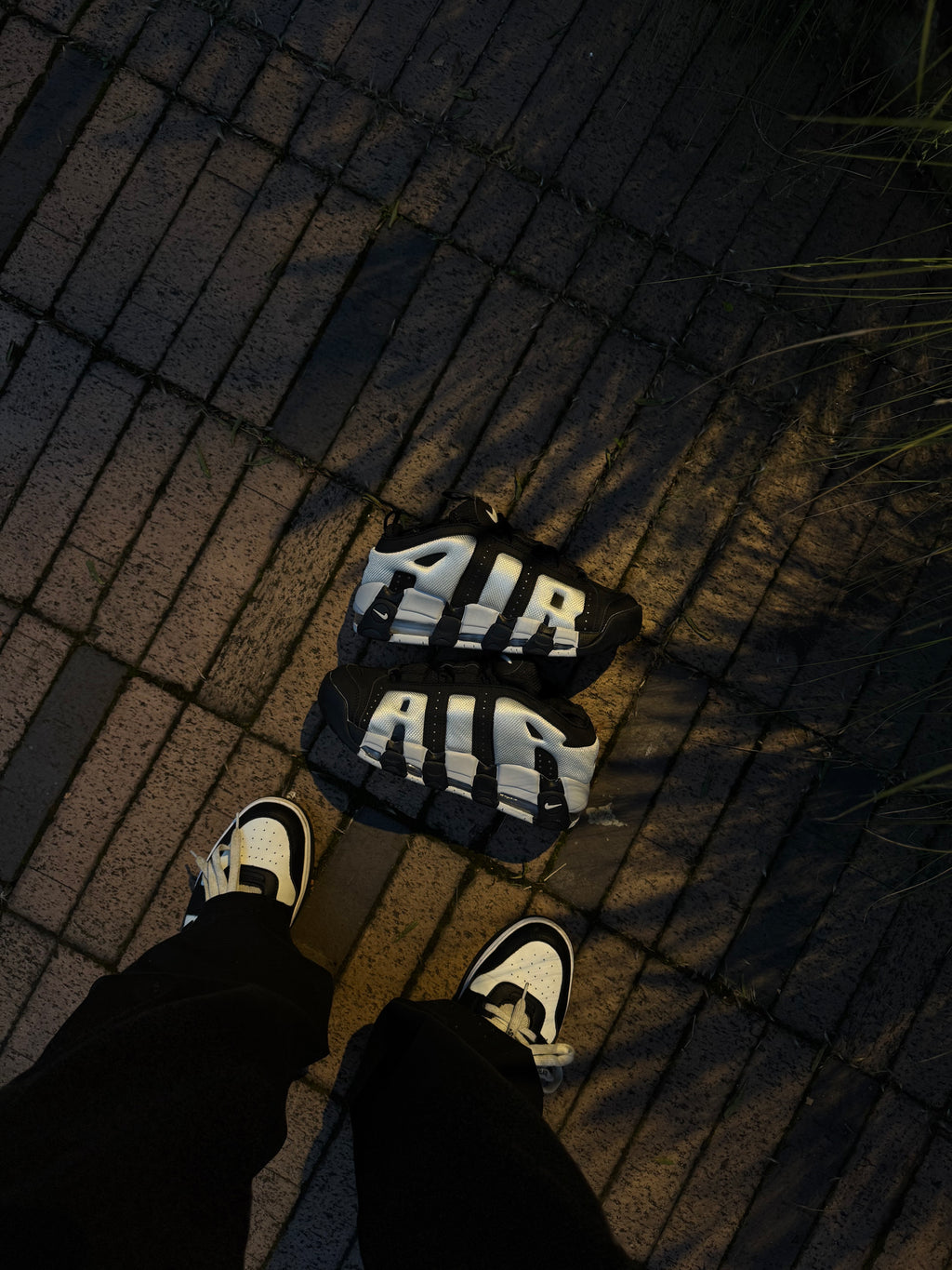 Nike More Uptempo Low