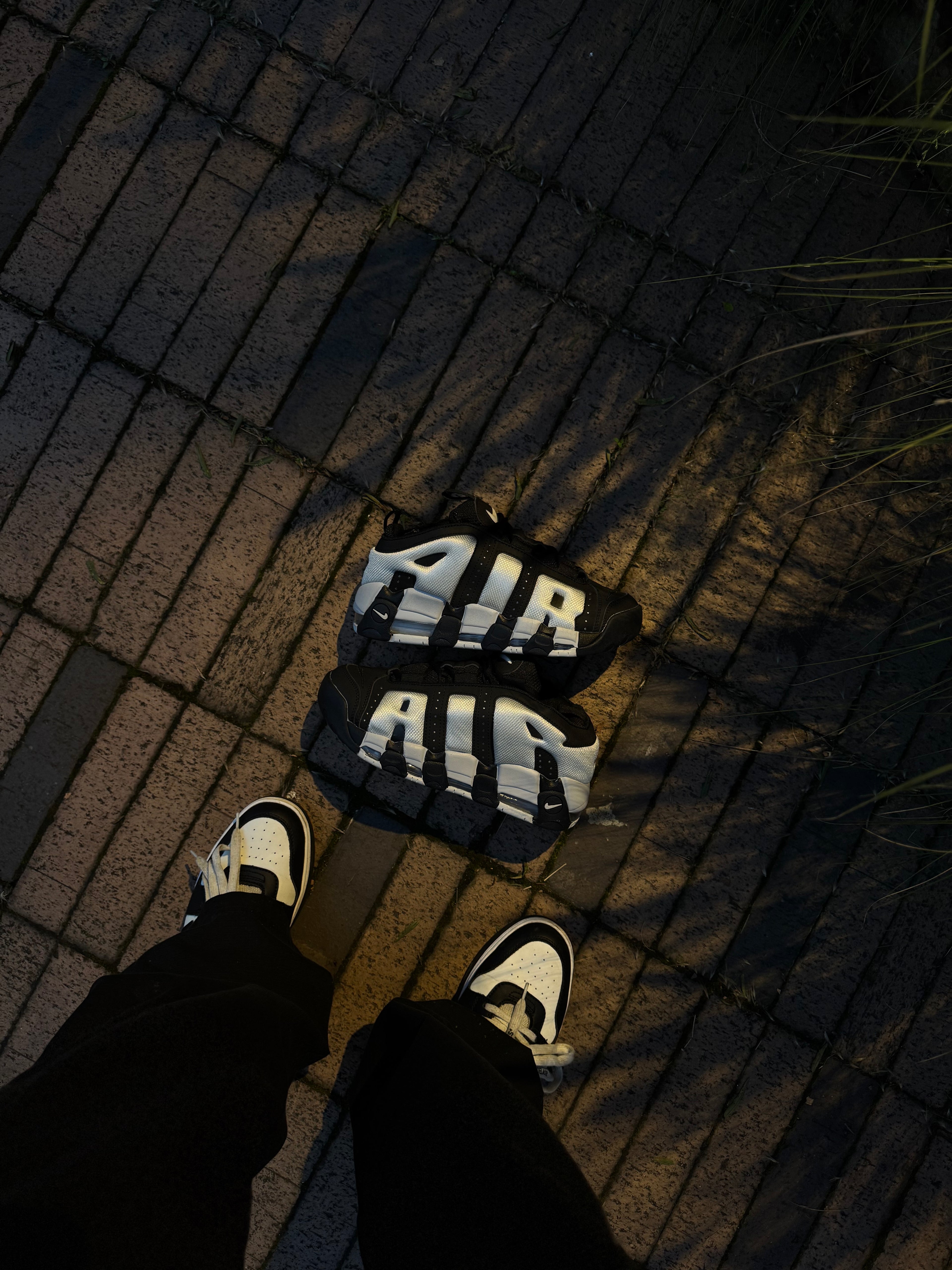 Nike More Uptempo Low