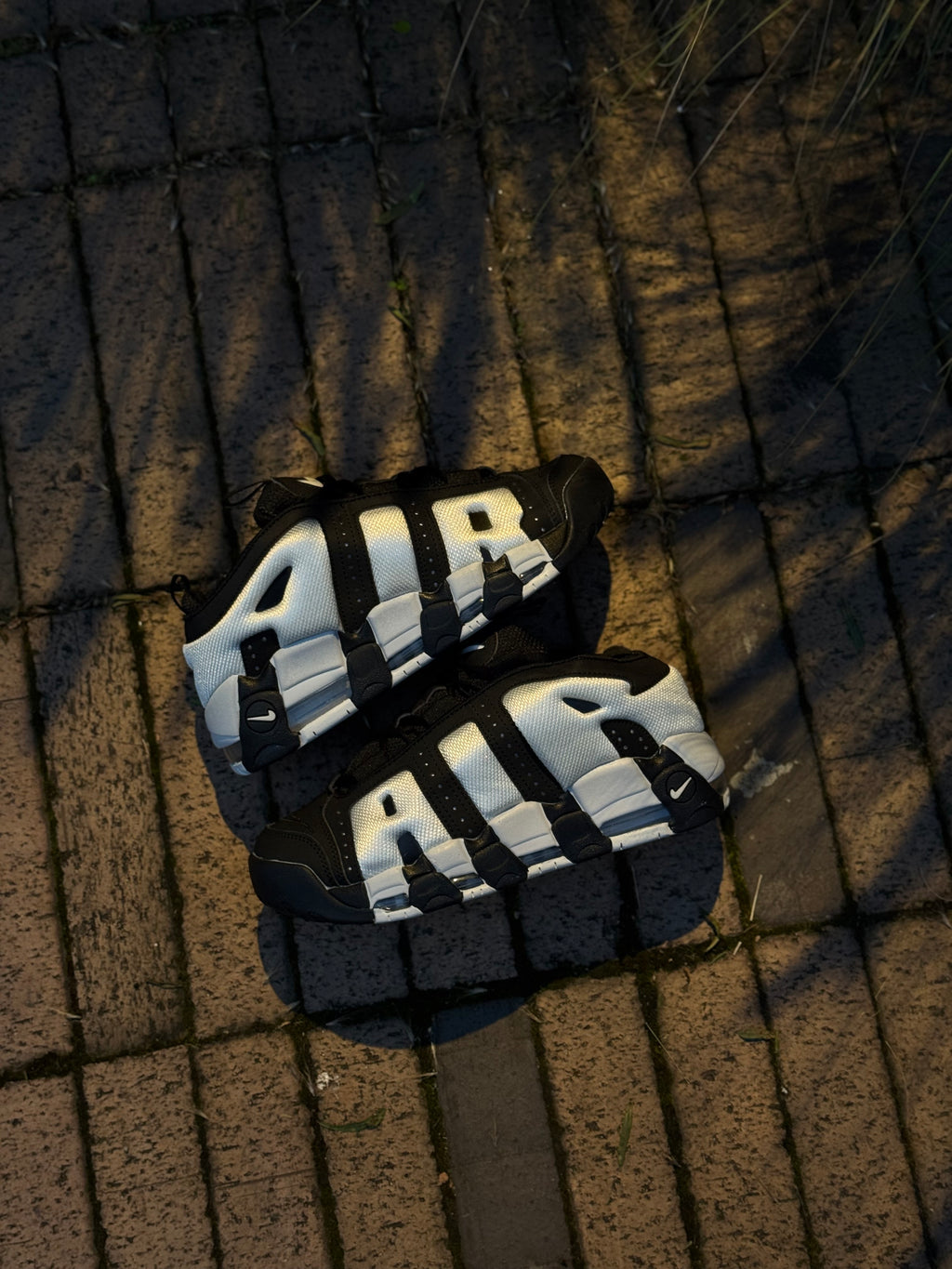 Nike More Uptempo Low
