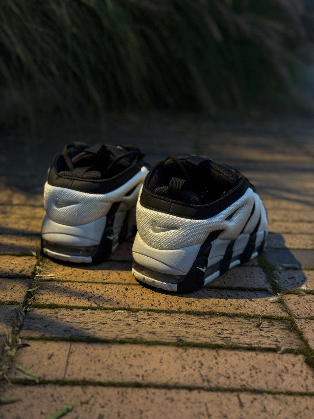 Nike More Uptempo Low