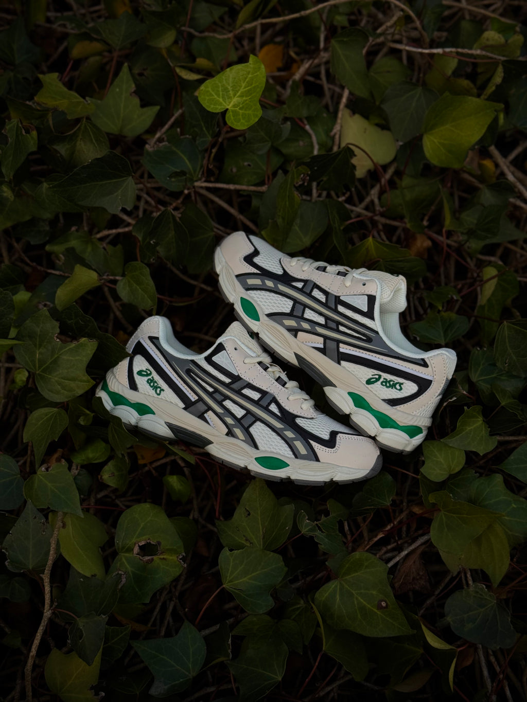 Asisc Gel Pale Ok