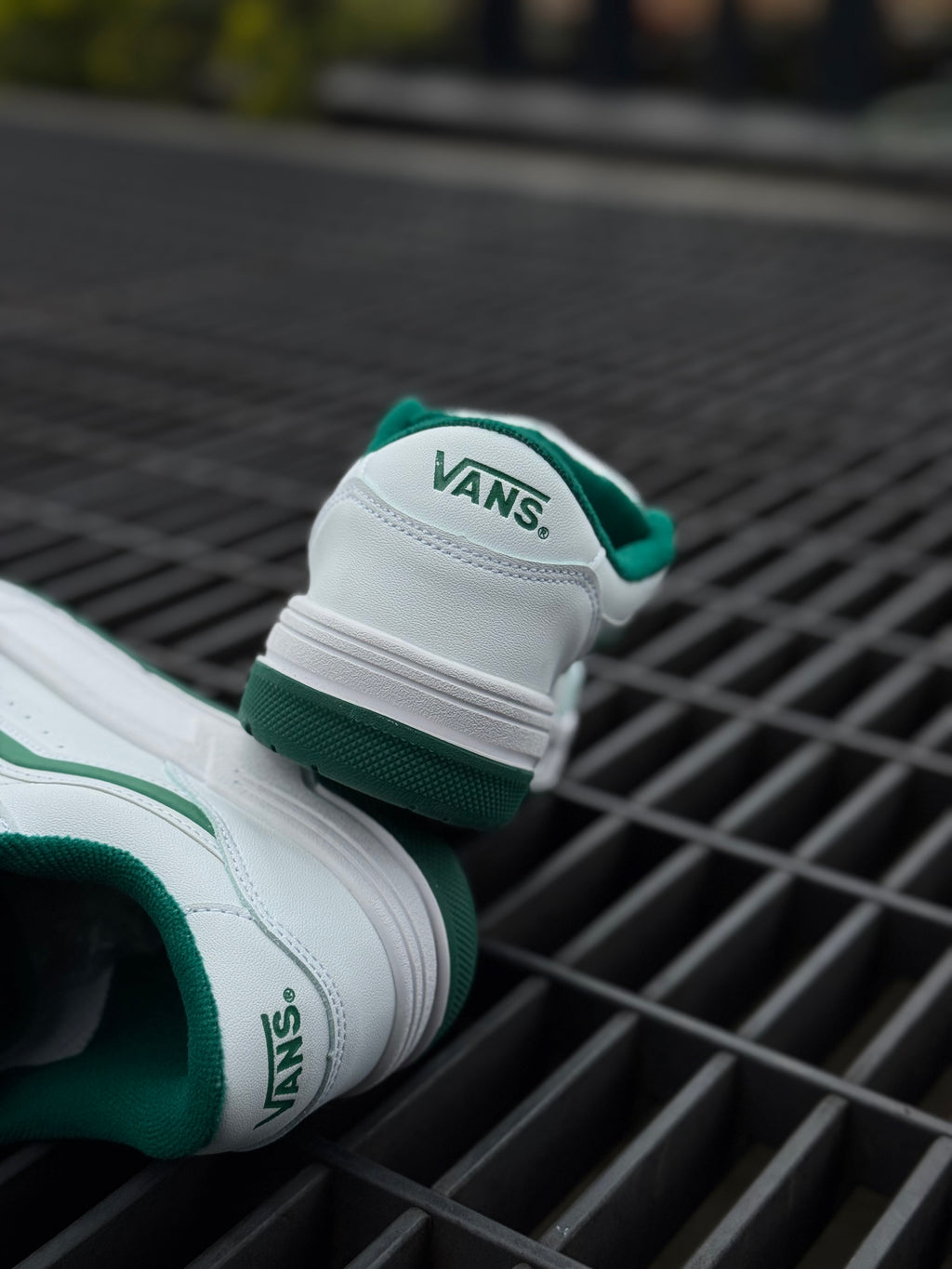 Vans Hylane Blanca