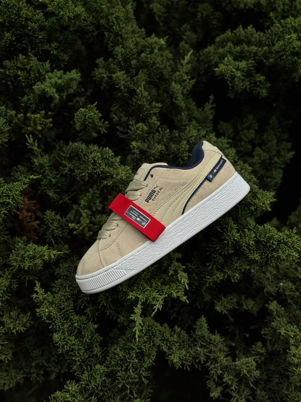 Puma XL x BMW