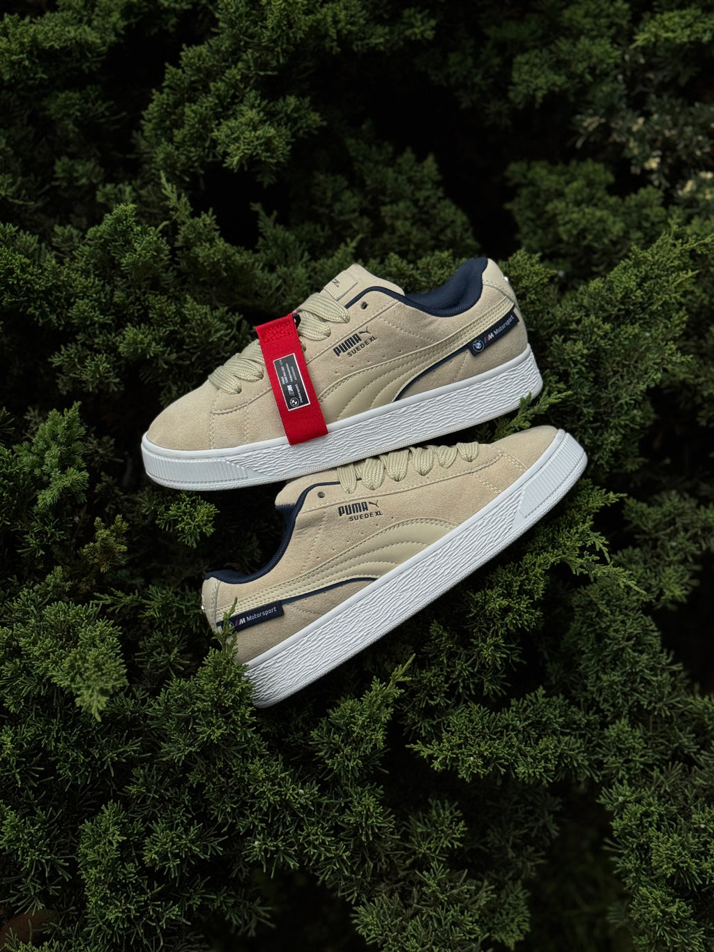 Puma XL x BMW