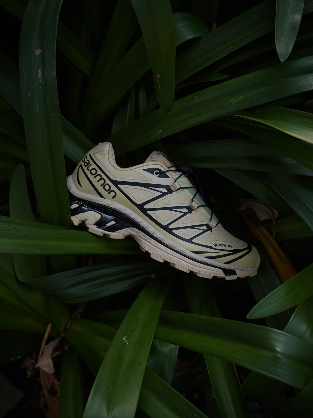 Salomón XT-6 Safari Black x Goretex