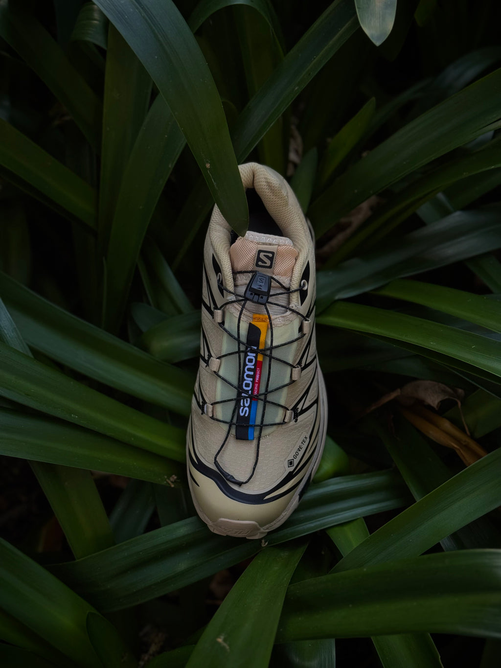 Salomón XT-6 Safari Black x Goretex