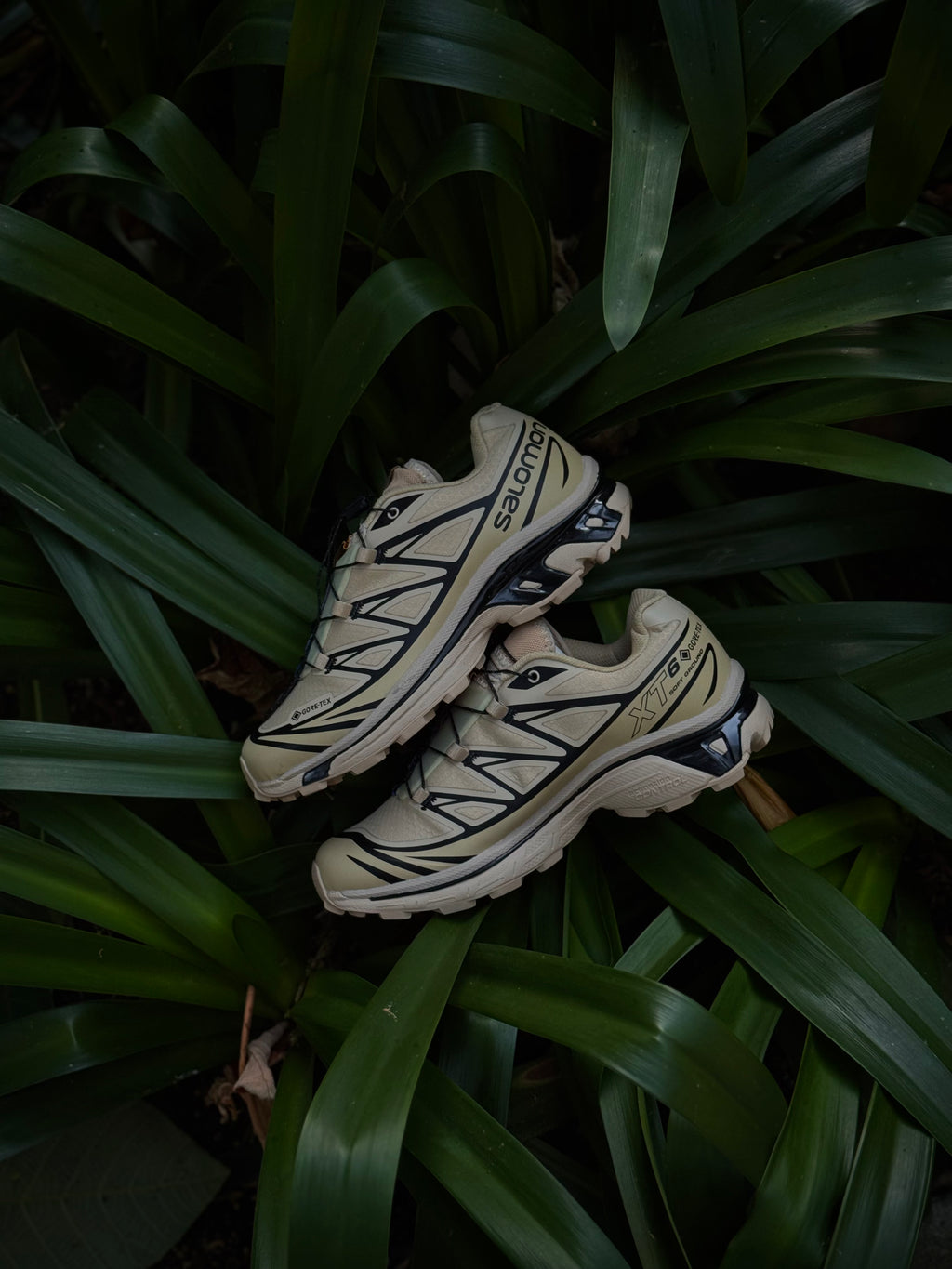 Salomón XT-6 Safari Black x Goretex