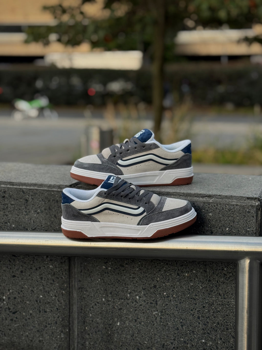 Vans Hylane Gris