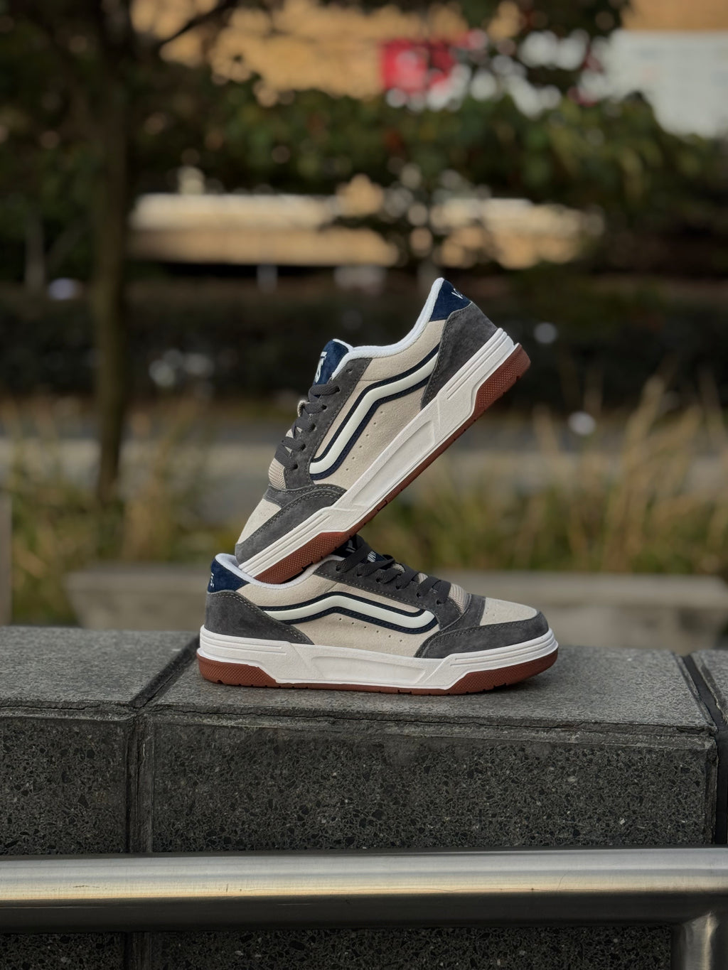 Vans Hylane Gris