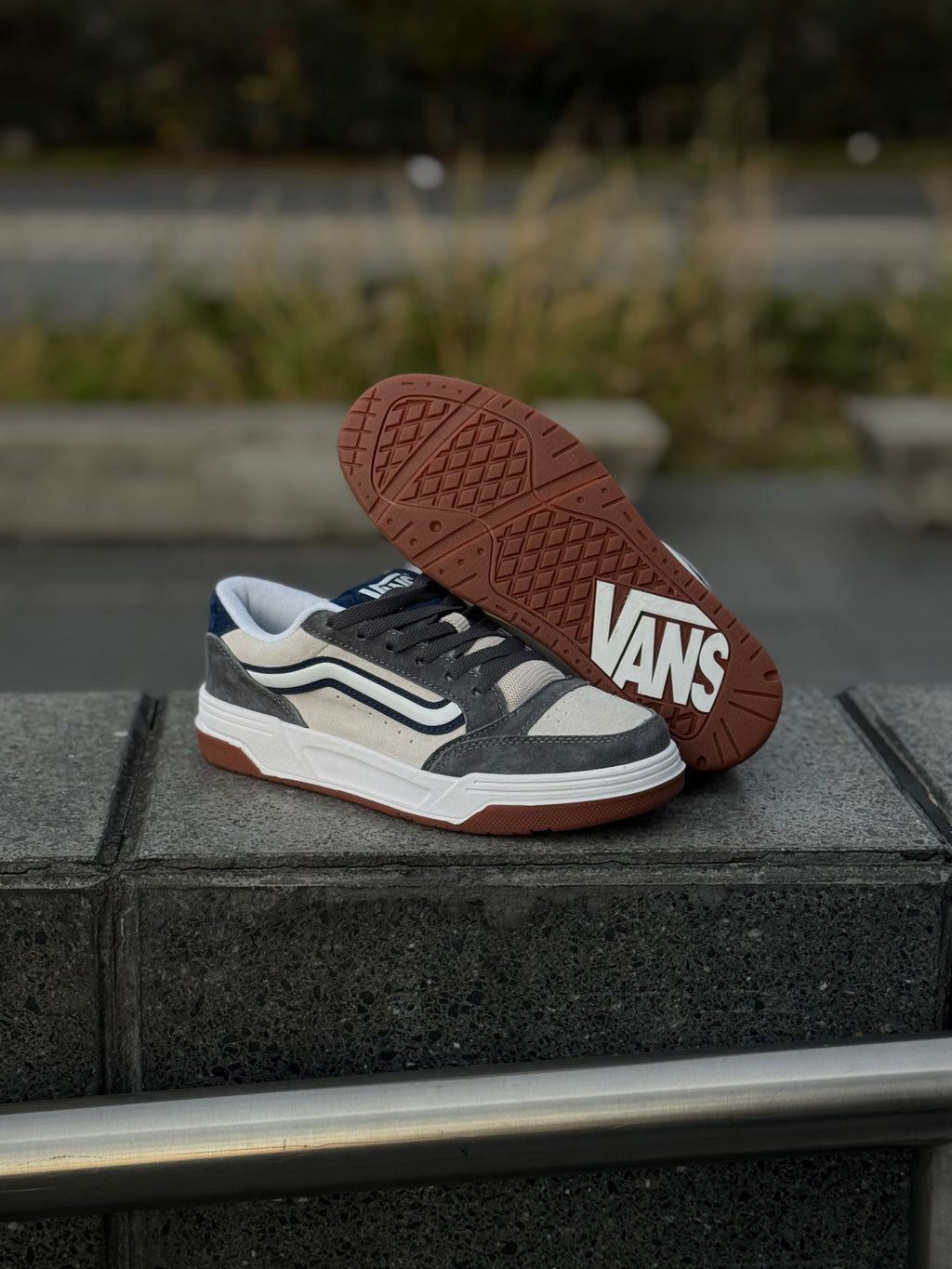 Vans Hylane Gris