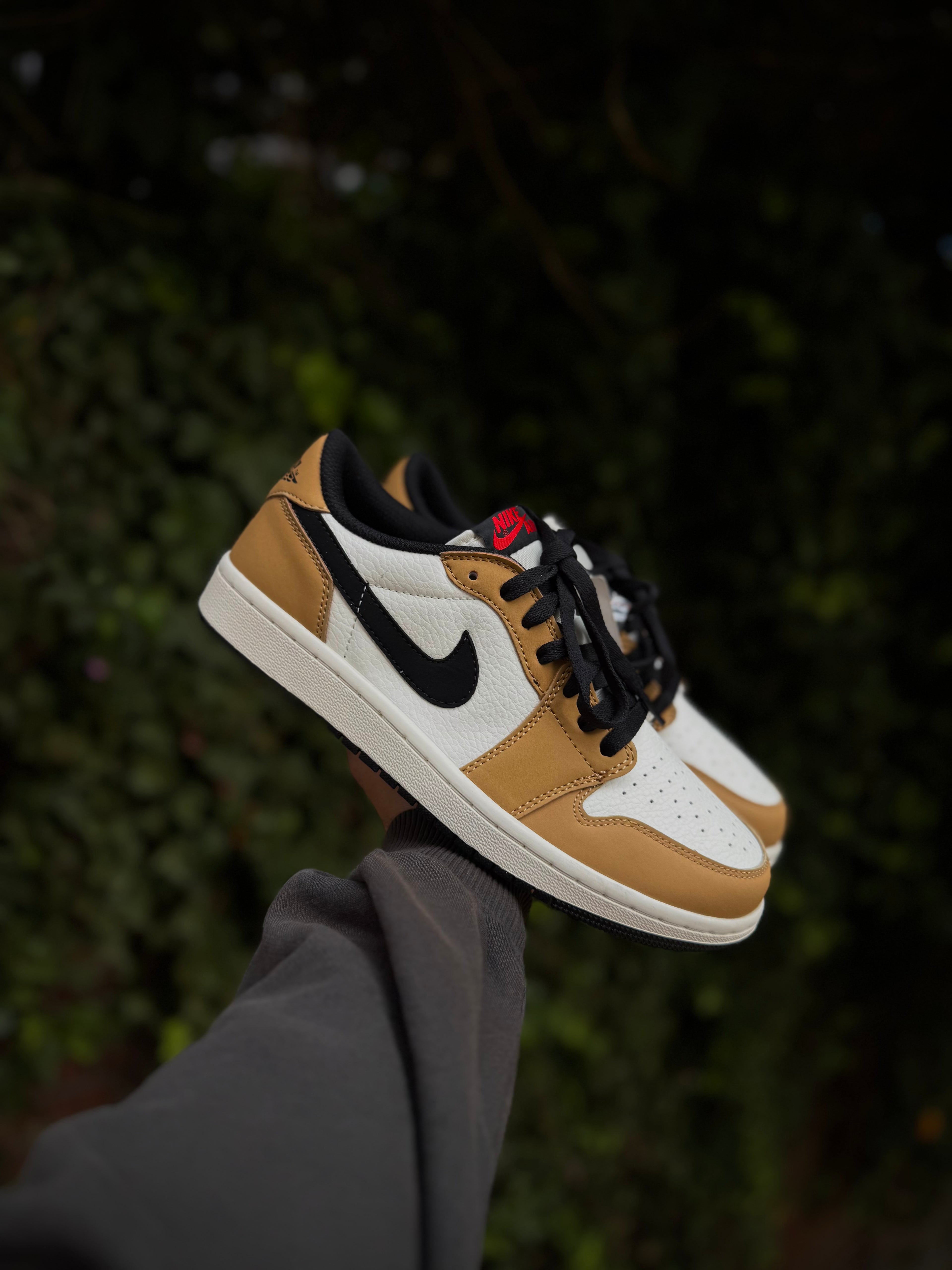 Jordan 1 Low Rookie of the Year