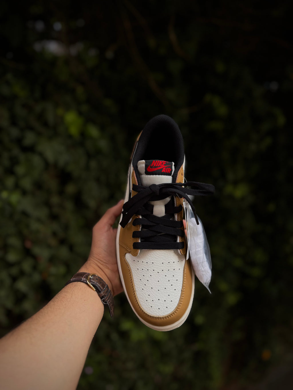 Jordan 1 Low Rookie of the Year