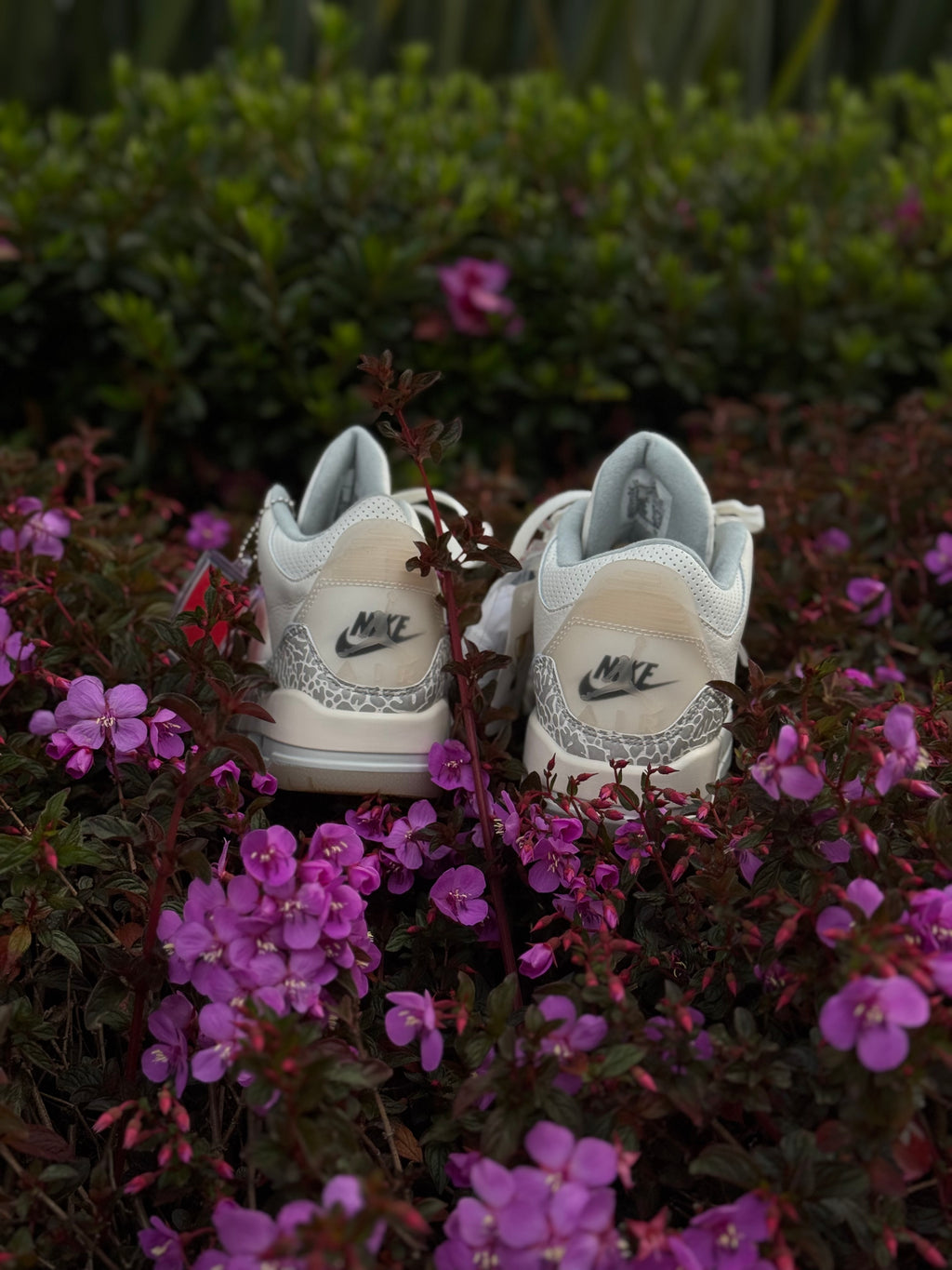 Jordan 3 Ivory Craft