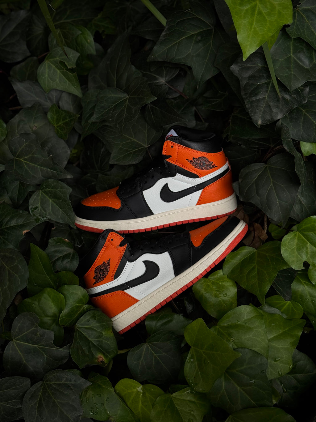 Jordan 1 Shattered Backboard