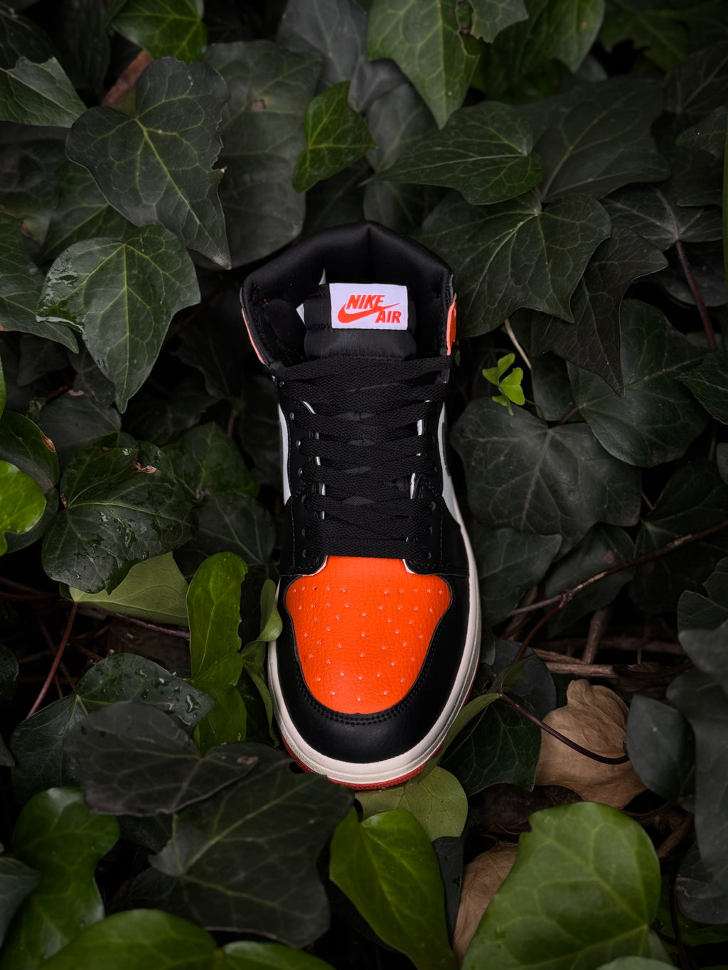 Jordan 1 Shattered Backboard