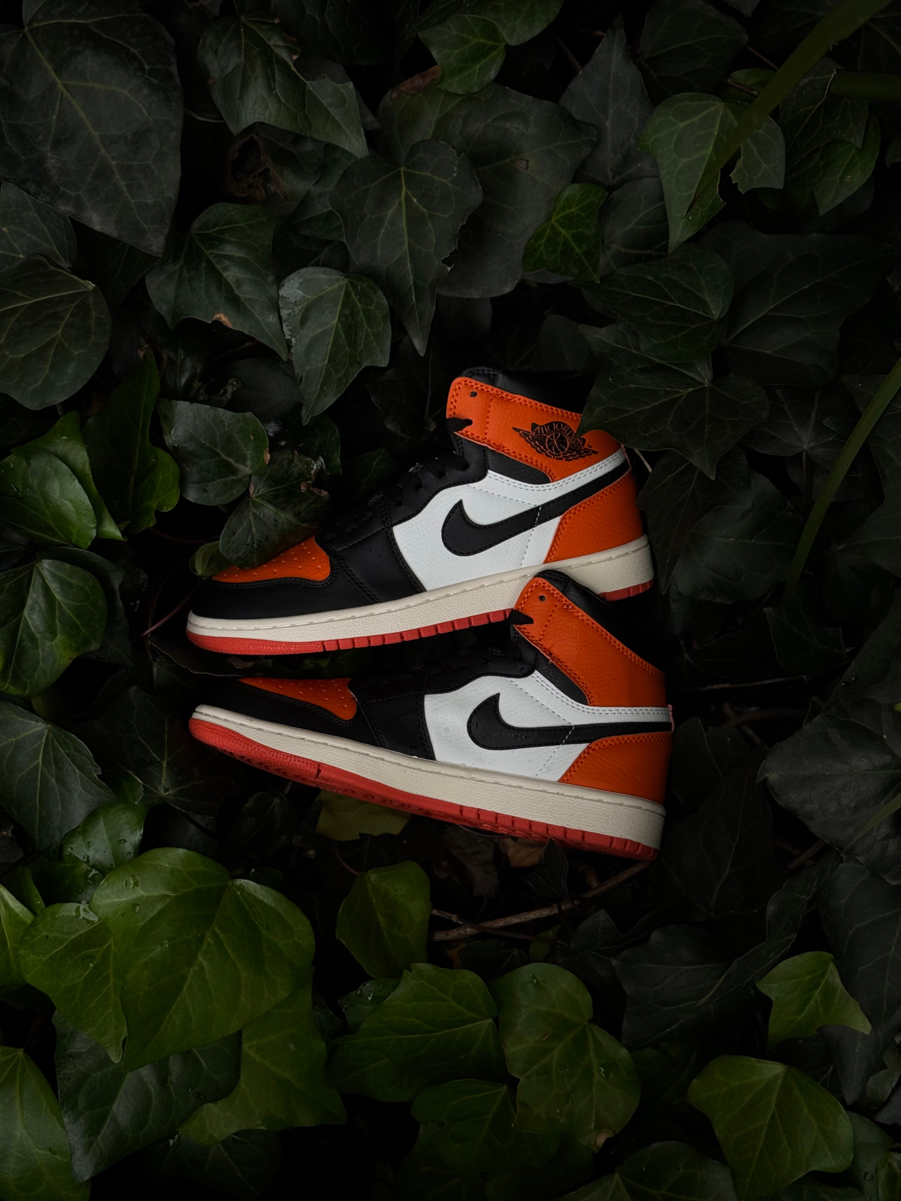 Jordan 1 Shattered Backboard