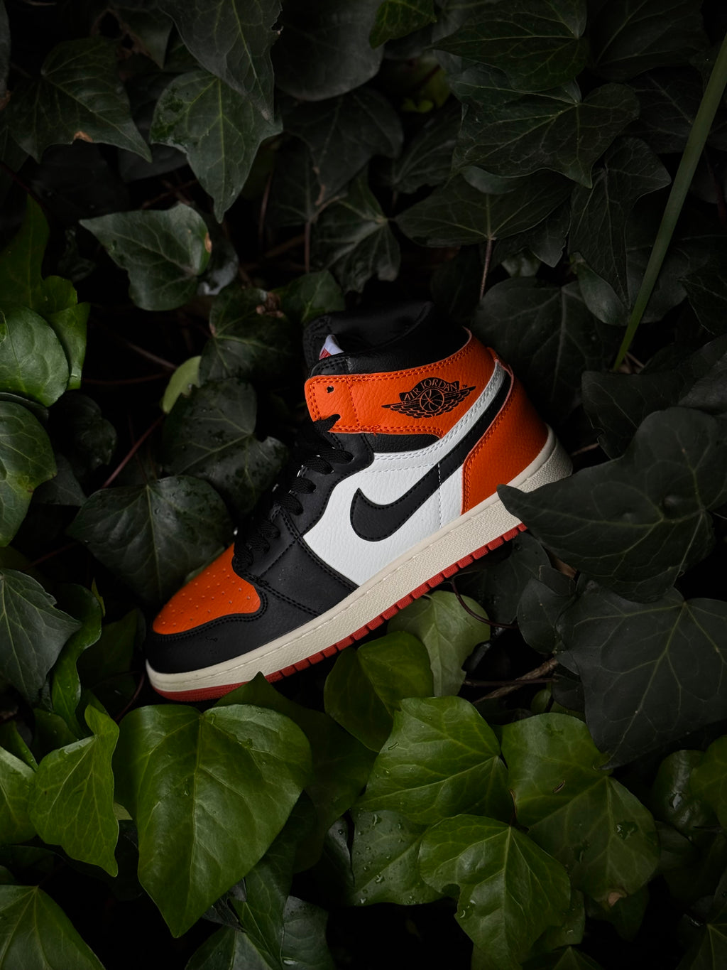 Jordan 1 Shattered Backboard