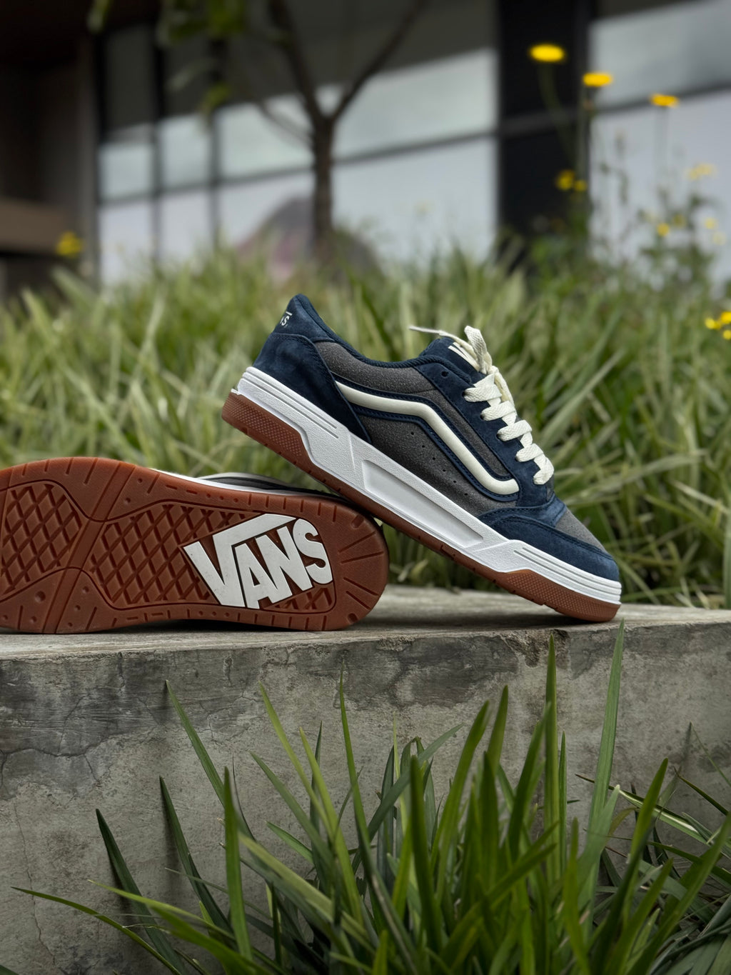 Vans Hylane